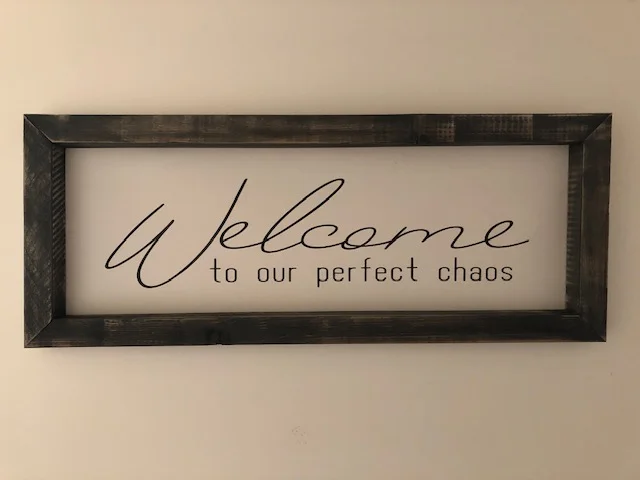 Welcome to our perfect chaos.JPG