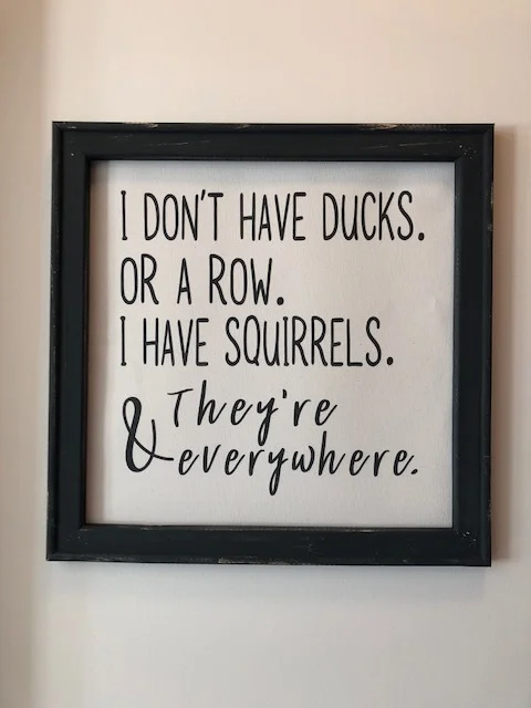 I don't have ducks framed 14x14.JPG