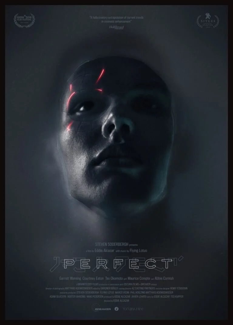 perfect-poster.jpeg