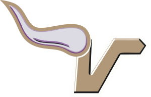 lake-stevens.png