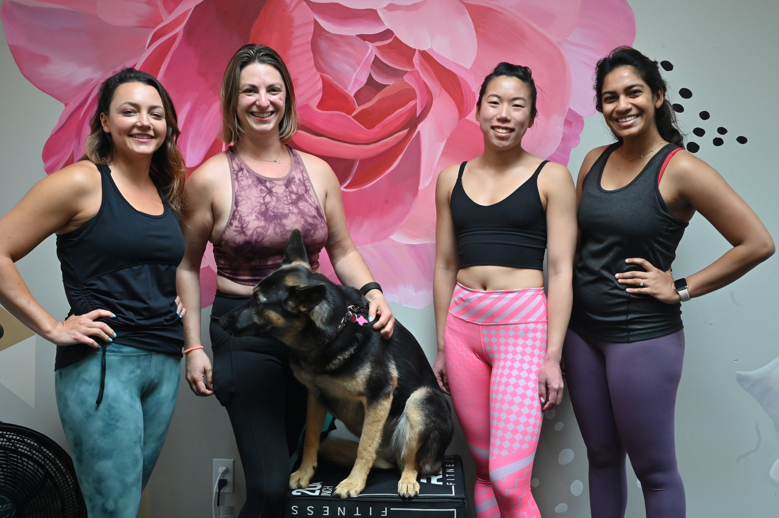 Bootcamp vs. group fitness vs. Semi-Private Personal Training
