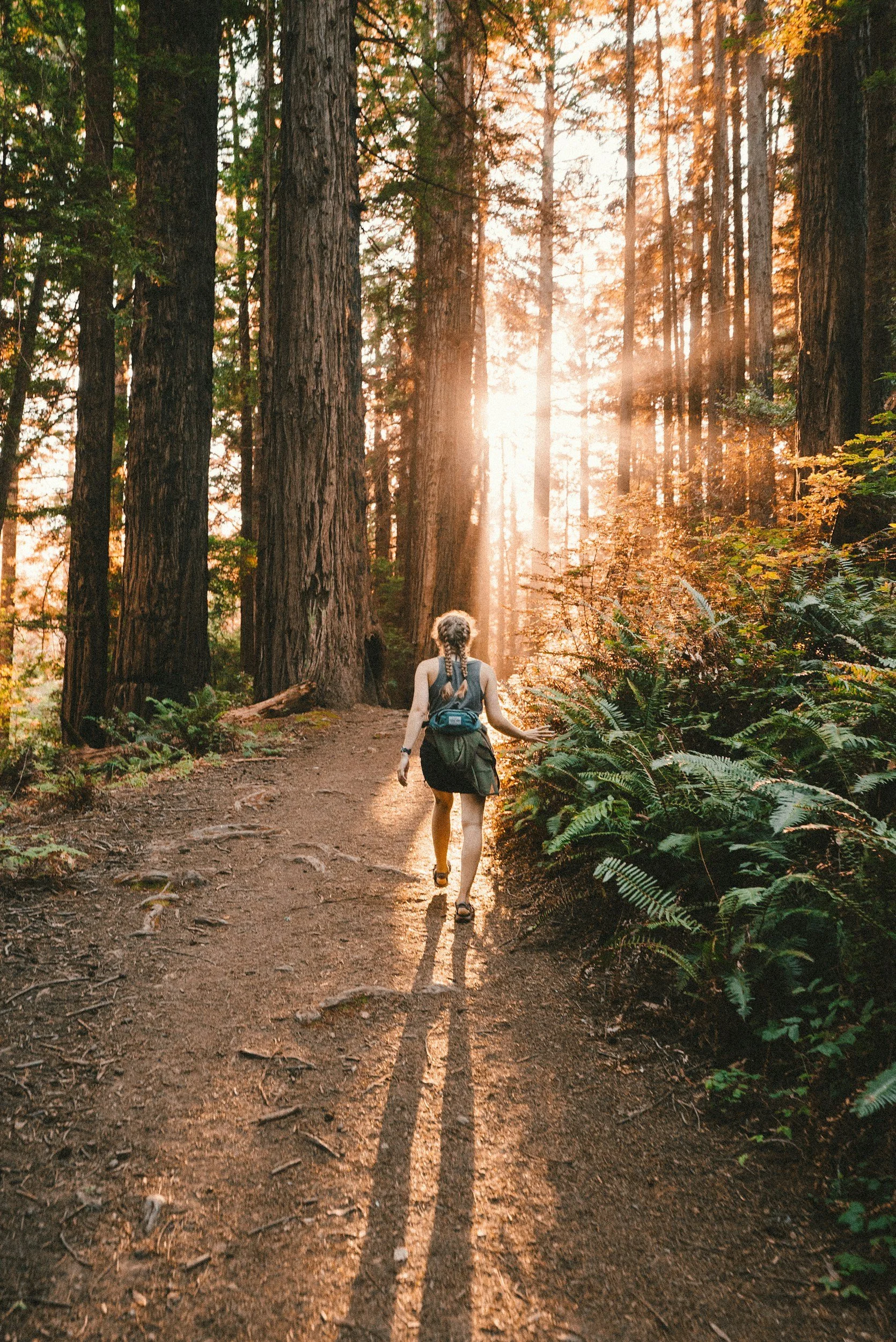 Our favorite Ways to Enjoy your Strength around Noe Valley!