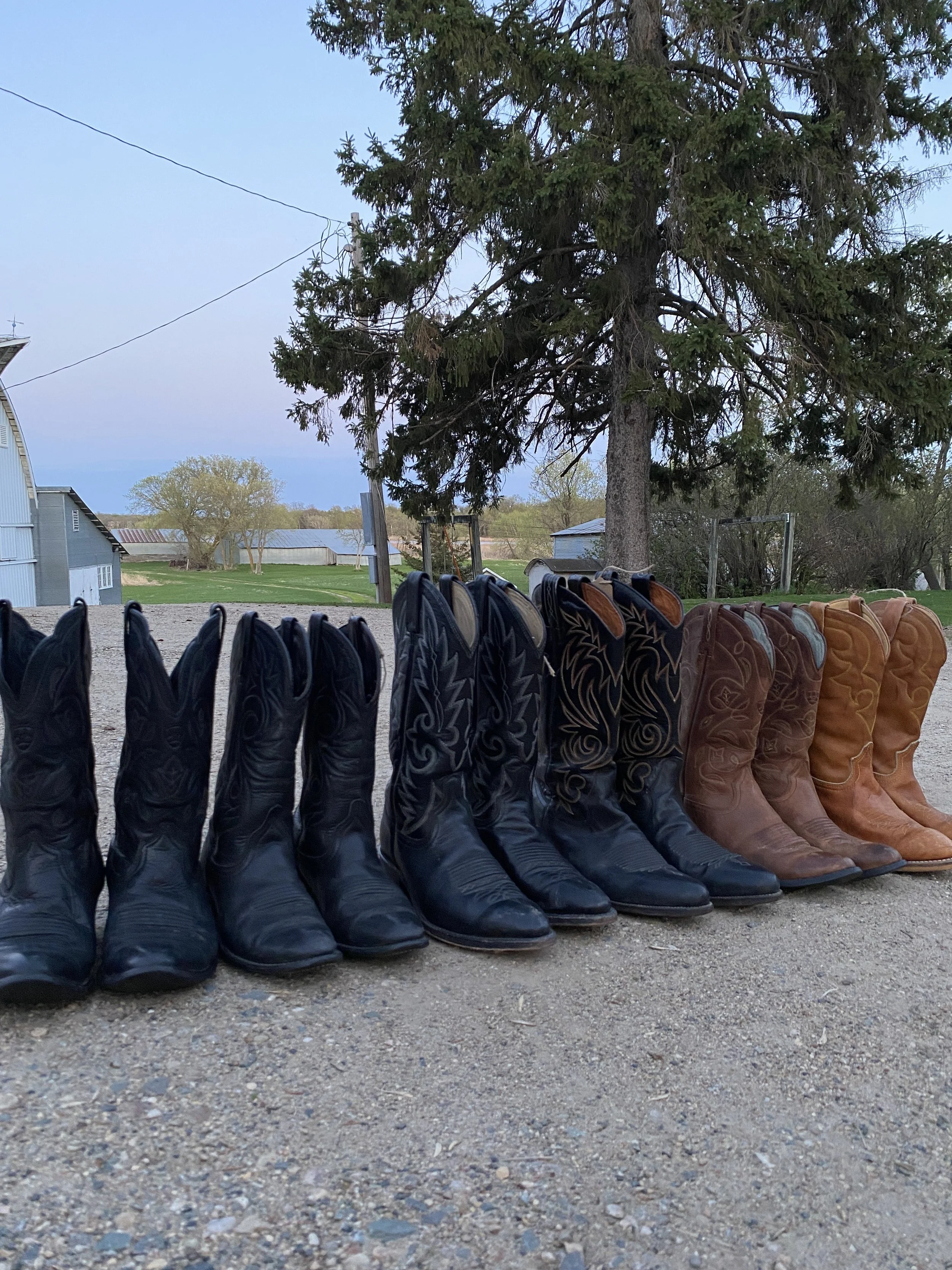 Ideal Thrifts at Adler Ranch Wedding Venue