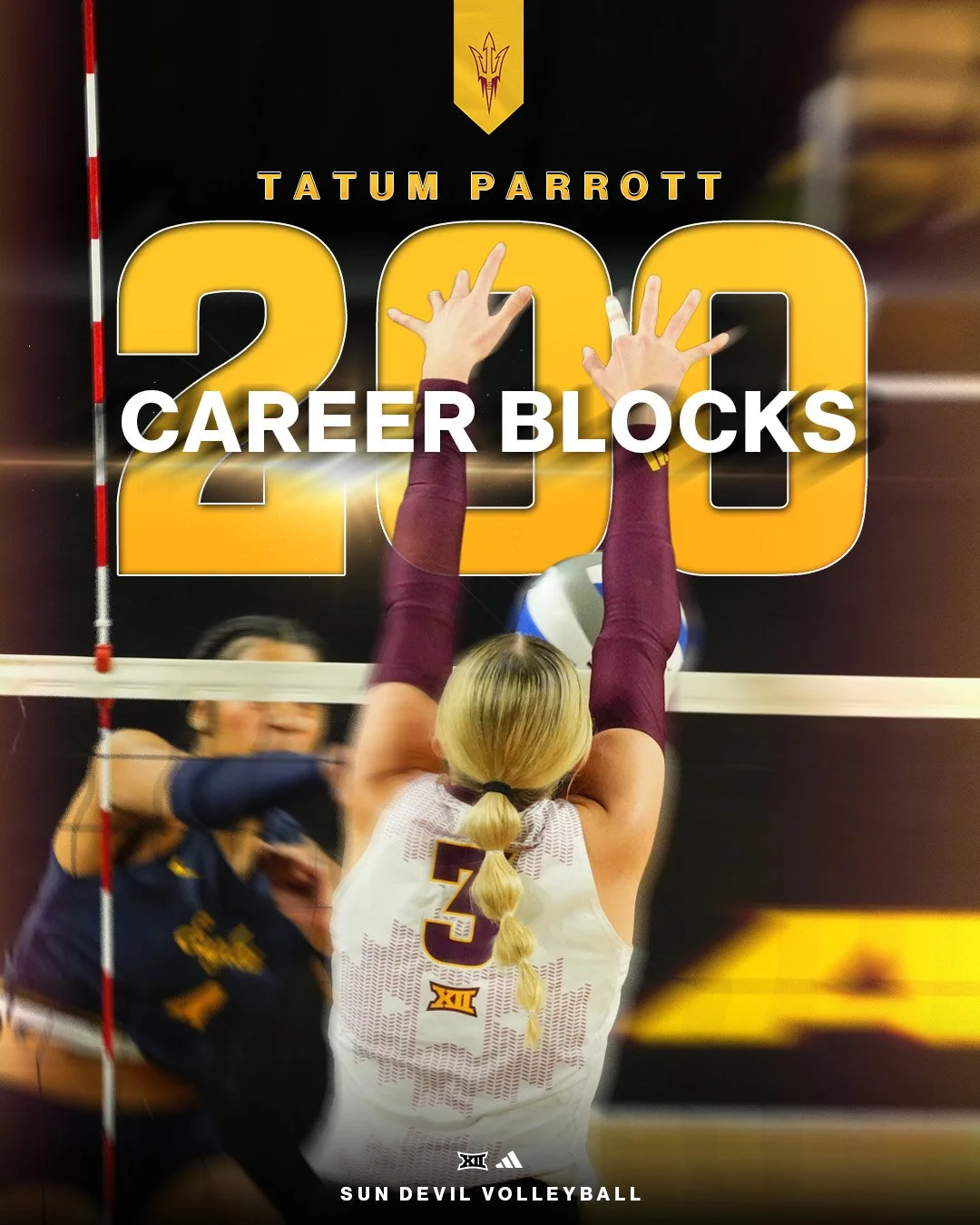 25105 VBL_Tatum Parrott 200 Blocks.jpg