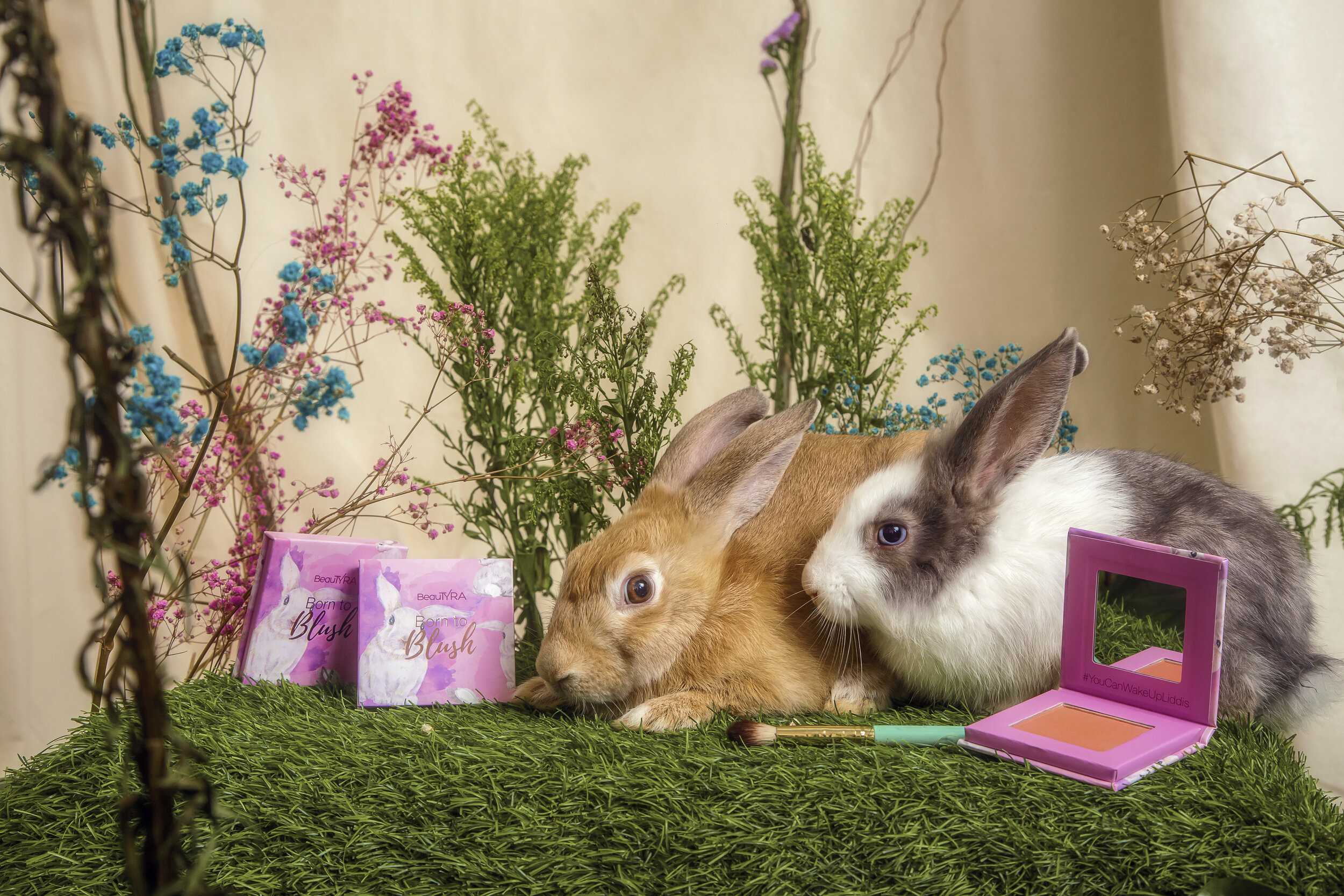  BeauTyra Cottontail Blush Campaign 