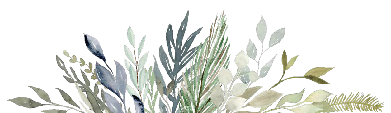 Screen Shot 2019-02-24 at 12.14.06 AM.png