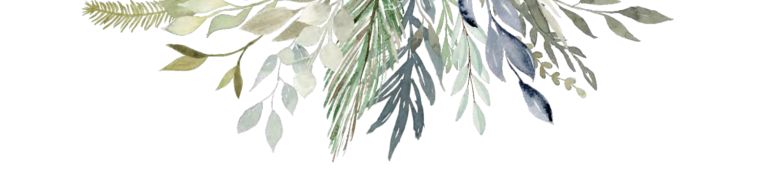 Screen Shot 2019-02-24 at 12.22.36 AM.png