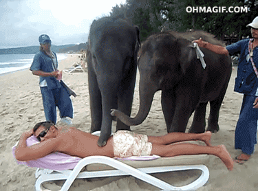 travel.gif
