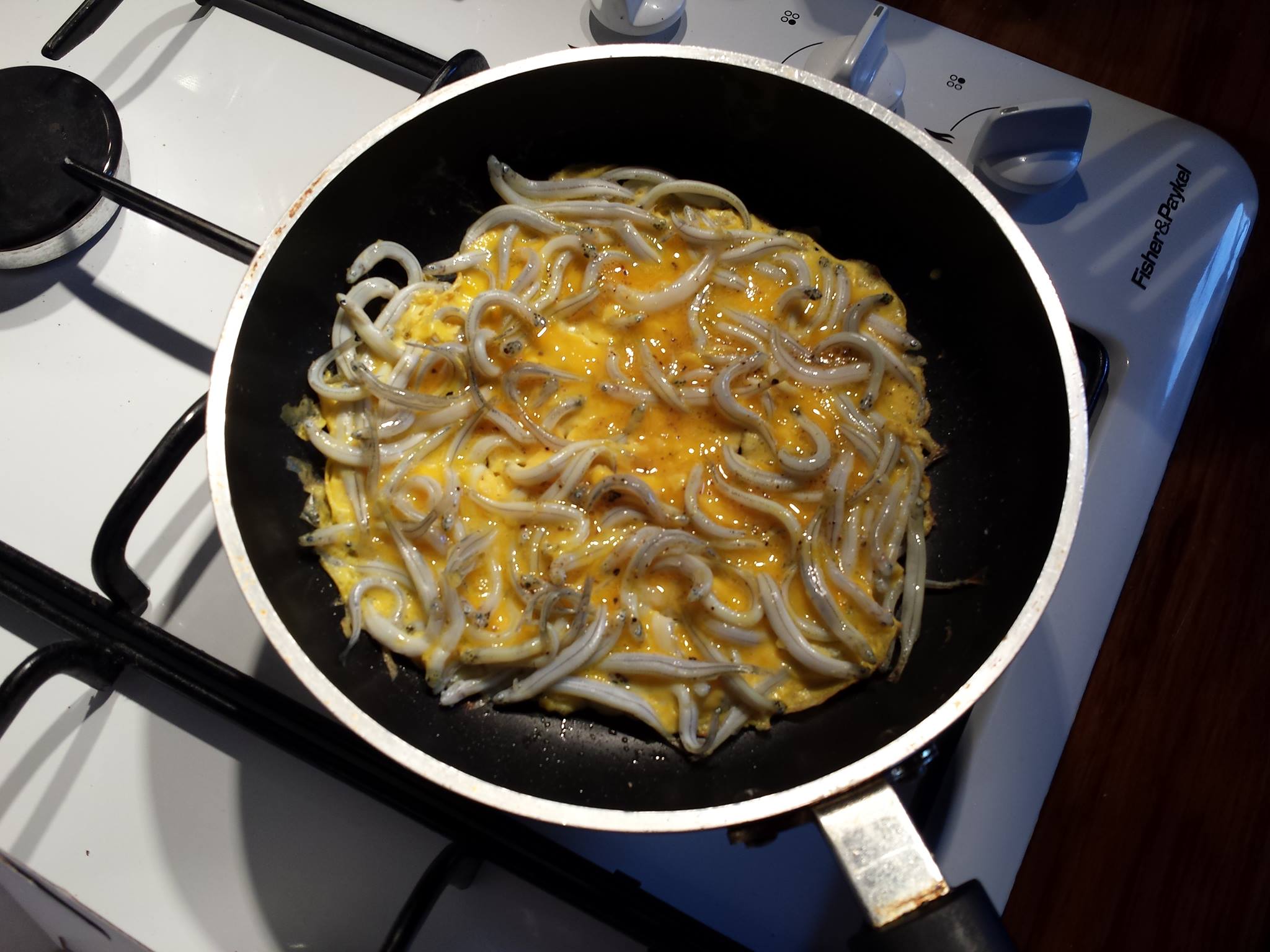 whitebait 4.jpg