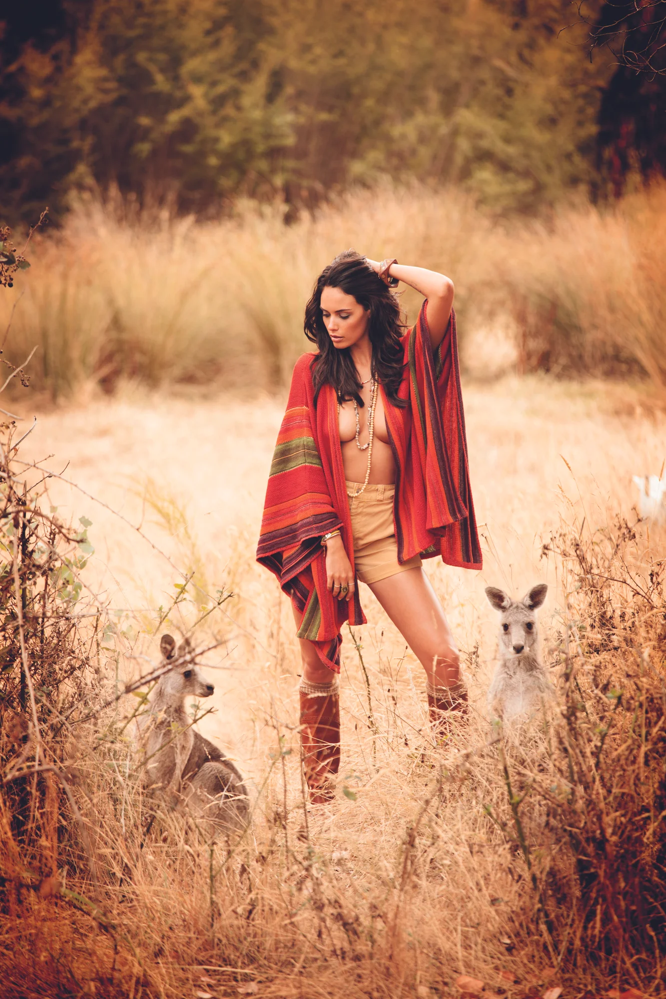 IMG_03420_kangaroo.jpg