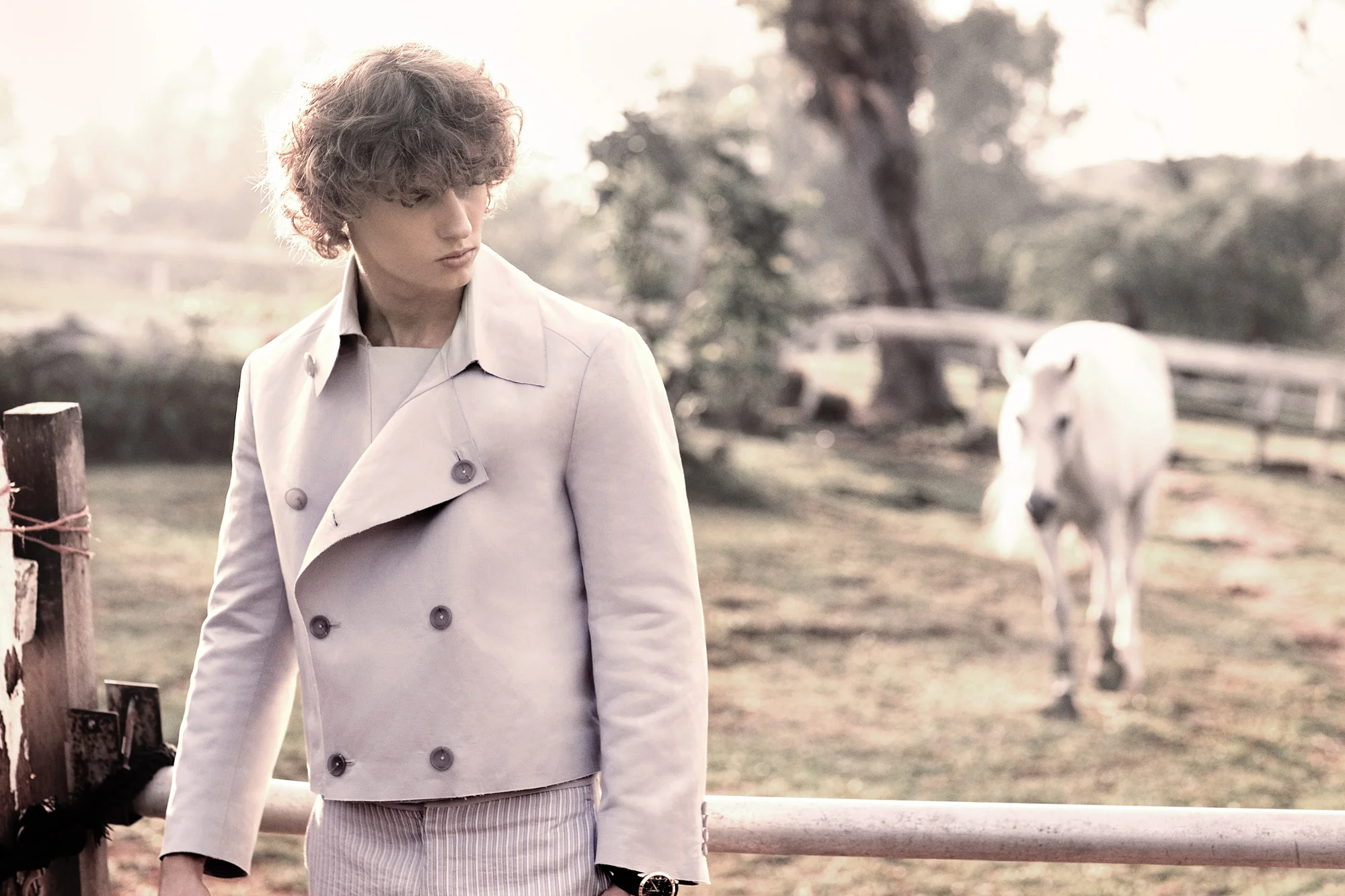 IMG__2236 copy.jpg