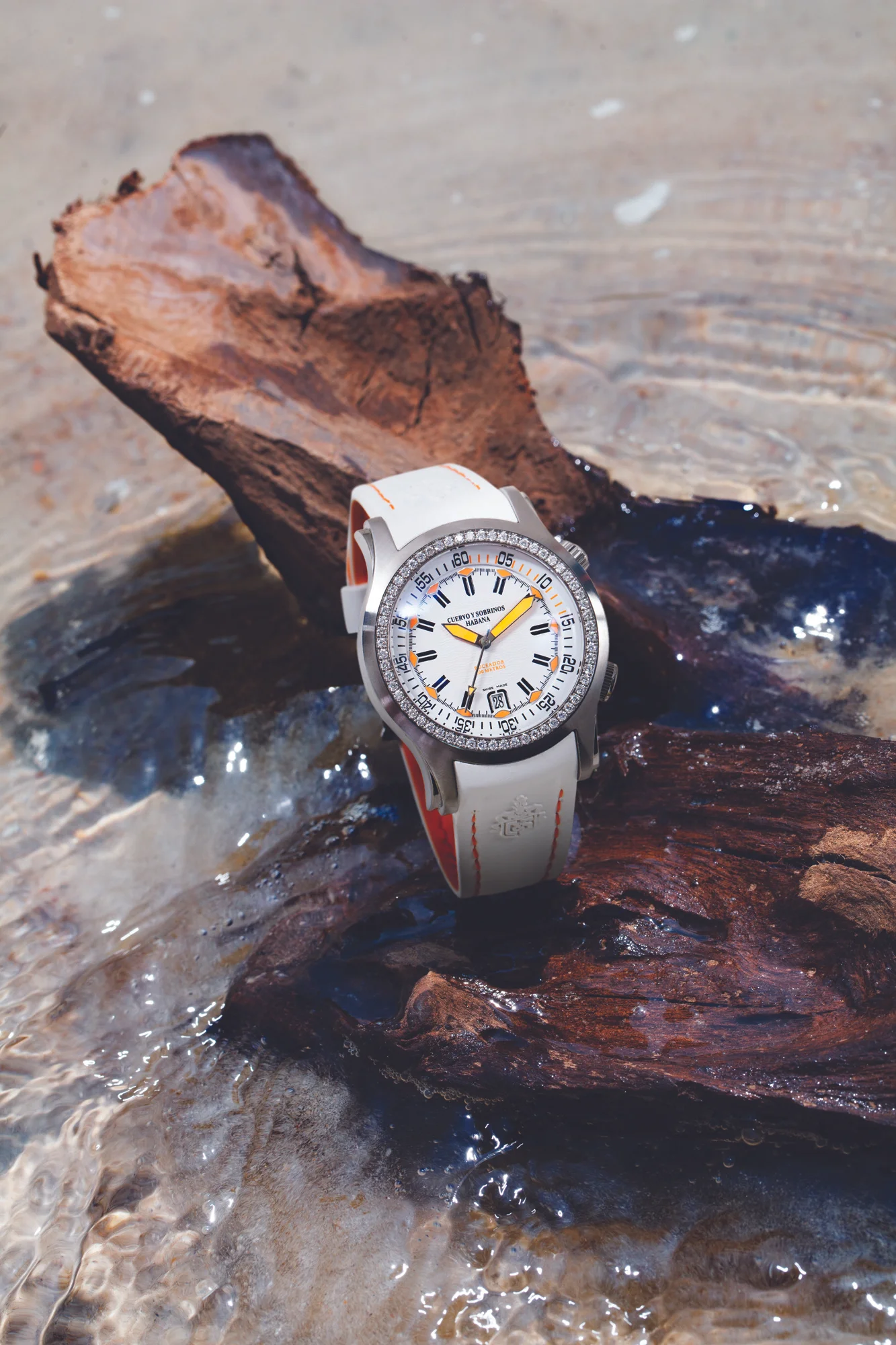 IMG_07882 Cuervo Y Sobrios copy.jpg