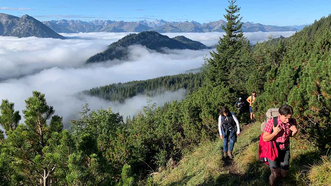 wandern.jpg