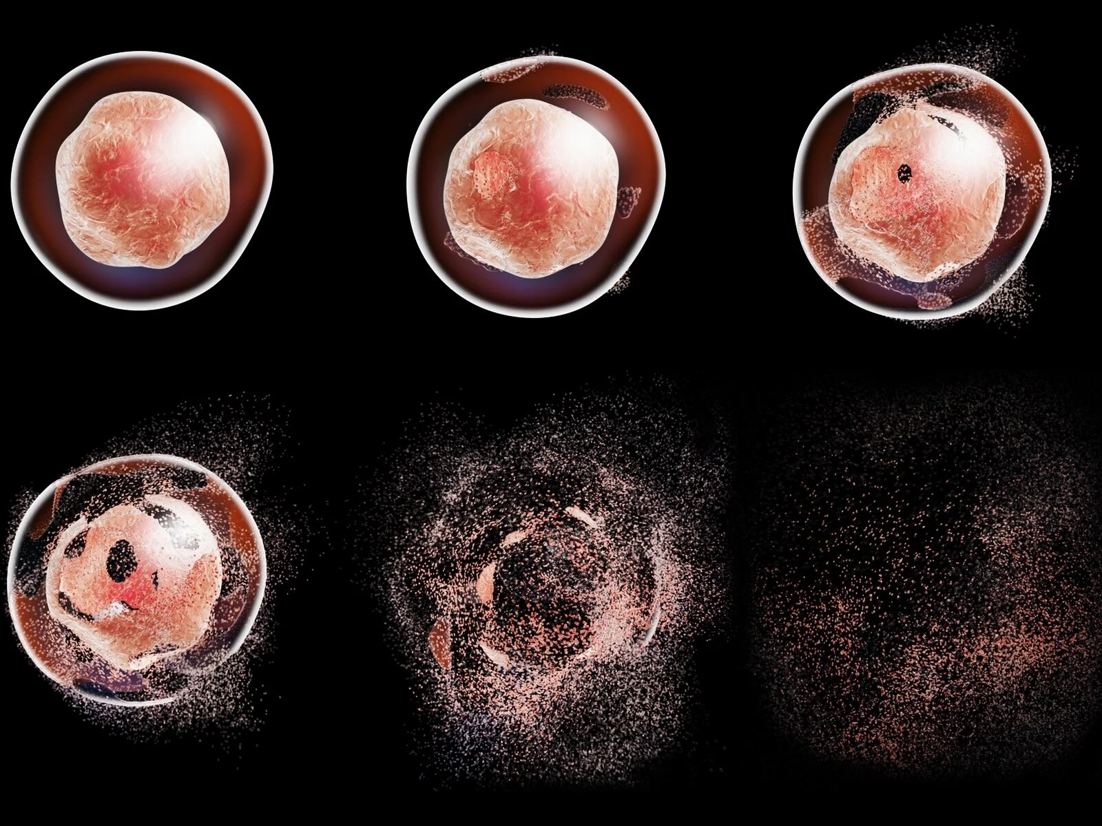 Apoptosis, is the death of cells which is a normal and natural part of development