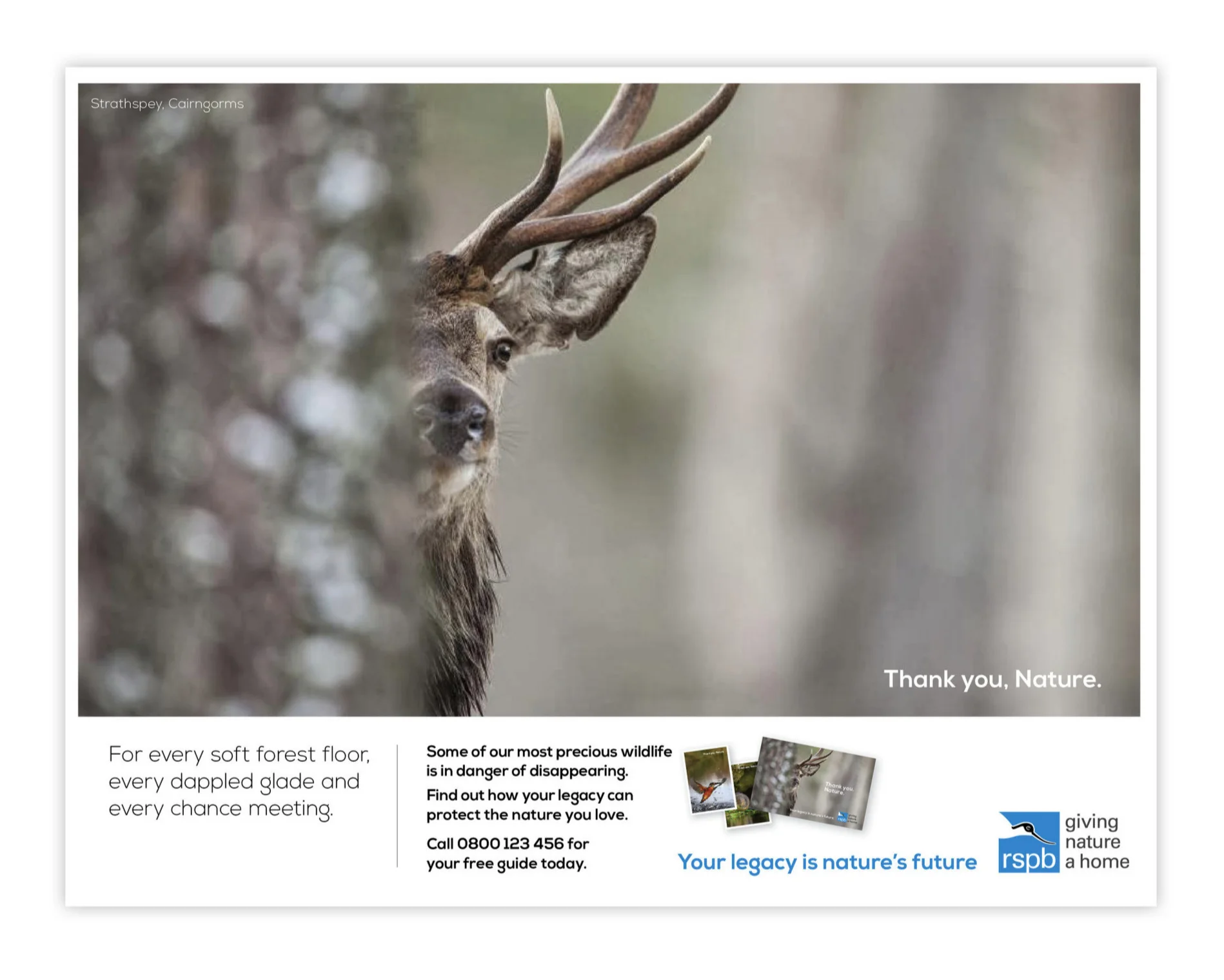 RSPB folio visuals.jpg