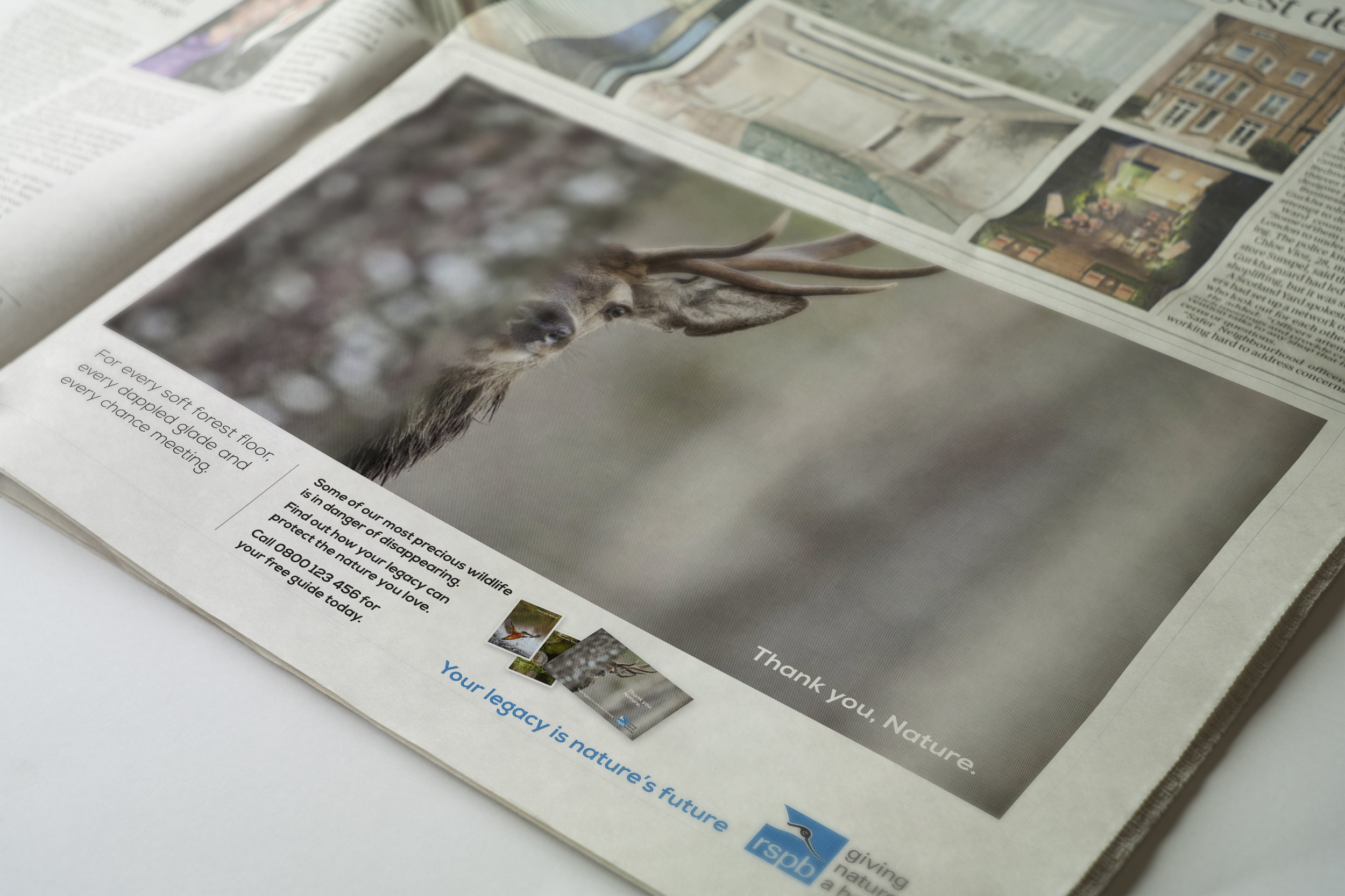 RSPB press ad in situ.jpg