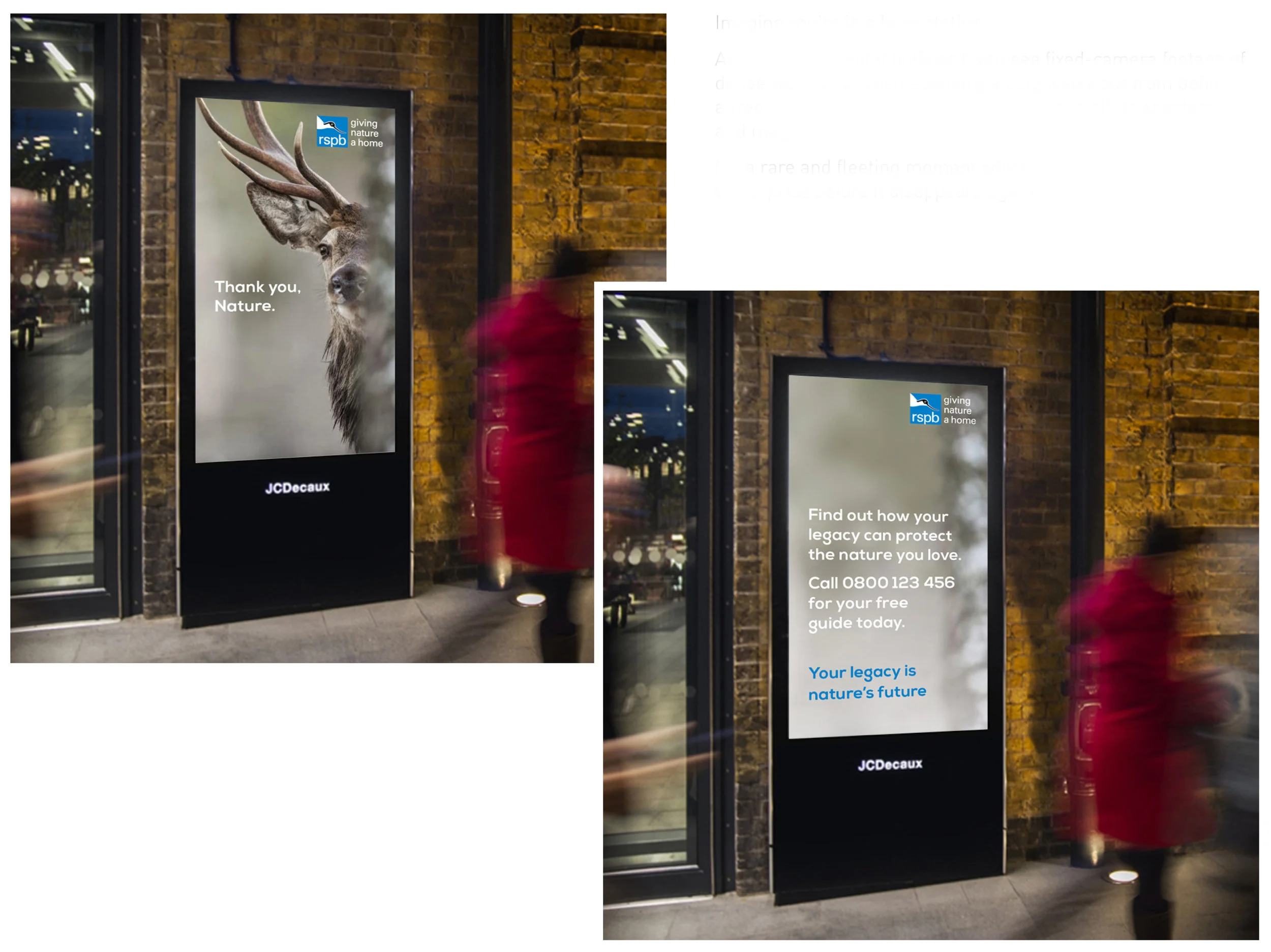 RSPB_animated display.jpg