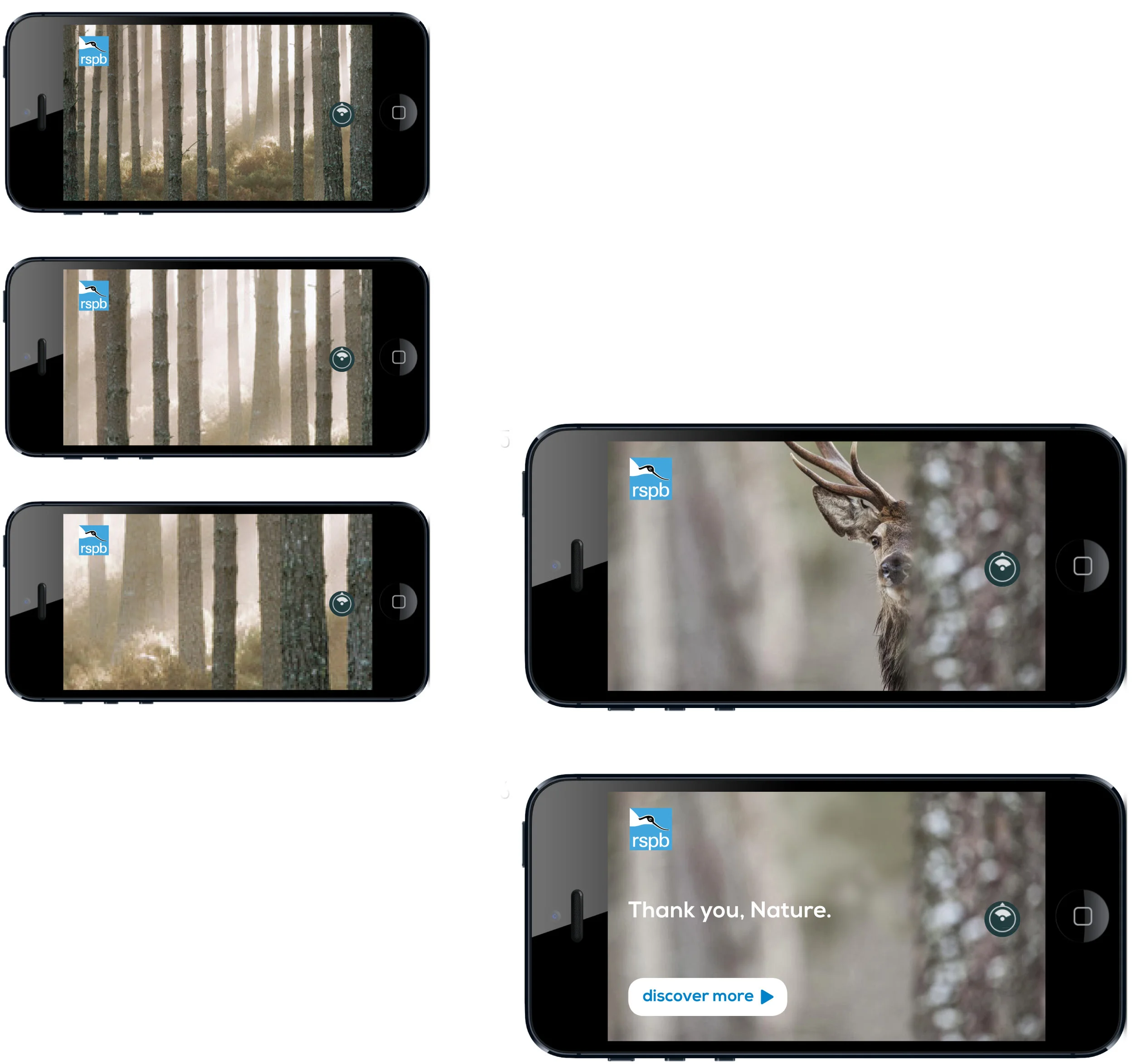 RSPB_legacy_phone 360.jpg