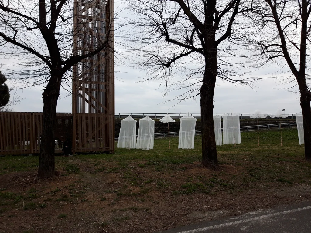 20190317_173221.jpg