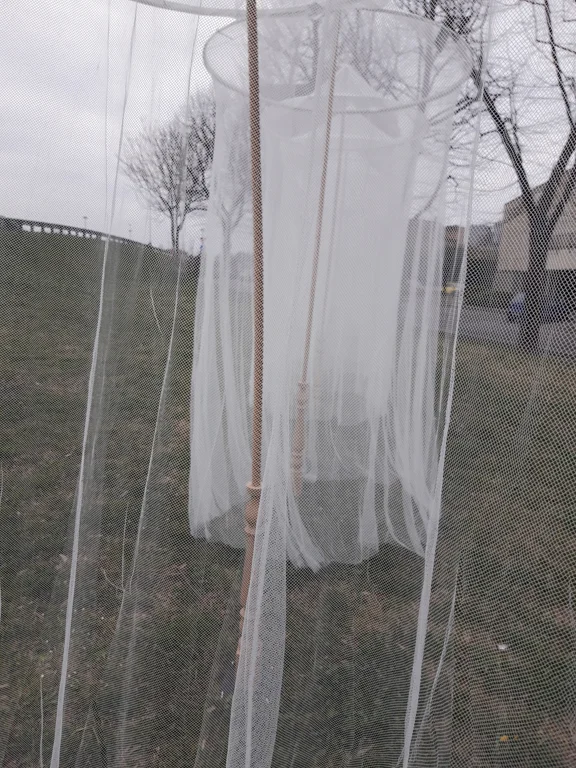 20190317_173638.jpg