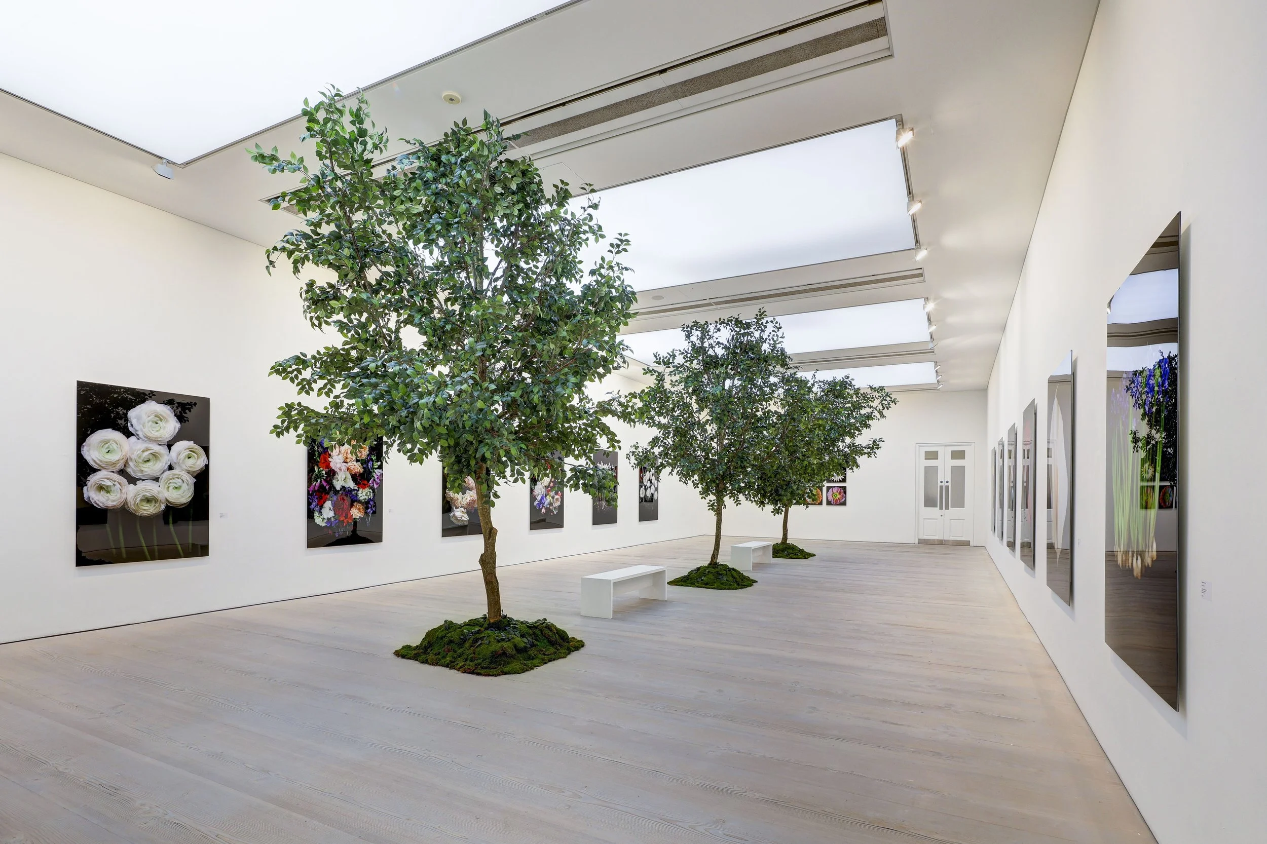 Saatchi Gallery Exhibition 8th November 2023 — Sarah Mancini