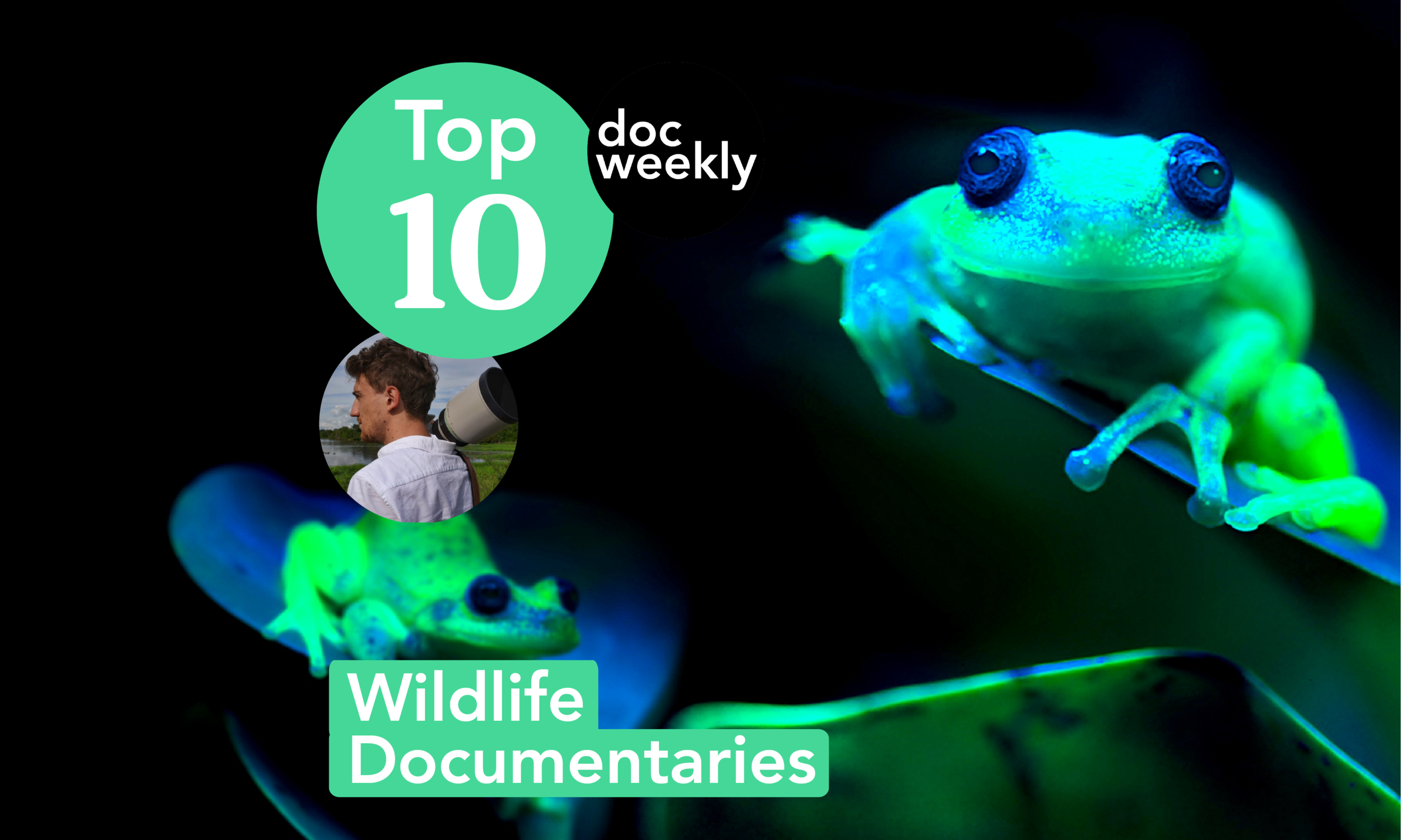 Top 10 Wildlife Documentaries - With Nature Photographer Matthieu  Courdesses — Documentary Weekly