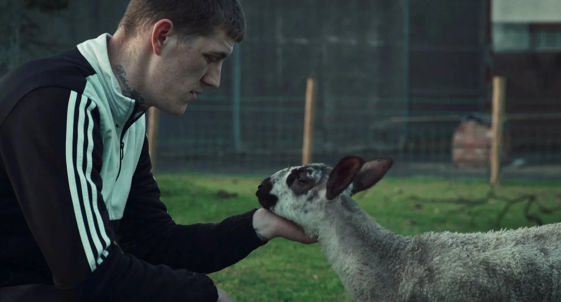 Magilligan Interview - Breaking Generational Incarceration With a Flock of Sheep