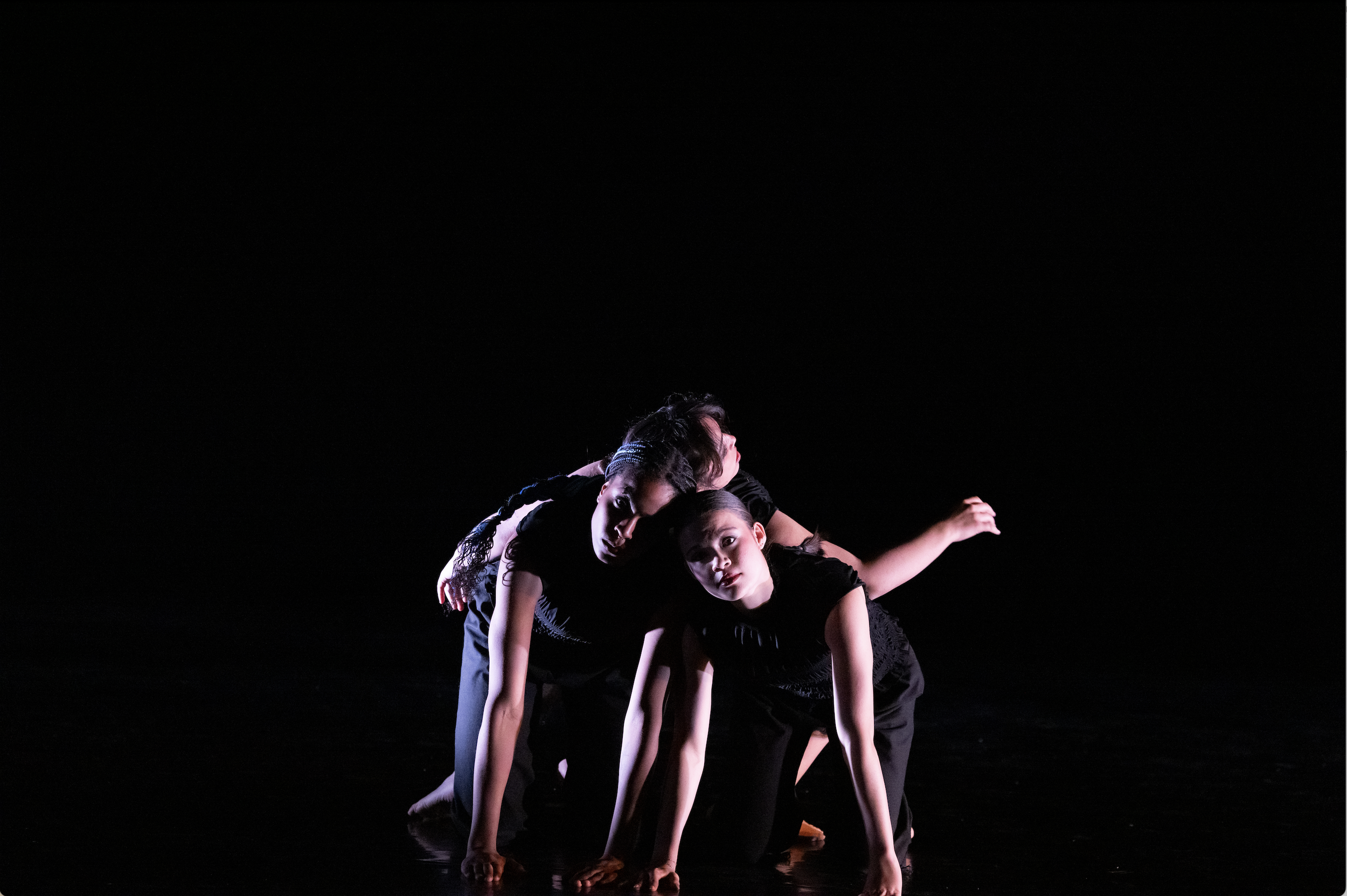 Screenshot 2026-02-17 at 10.09.03 AM.png