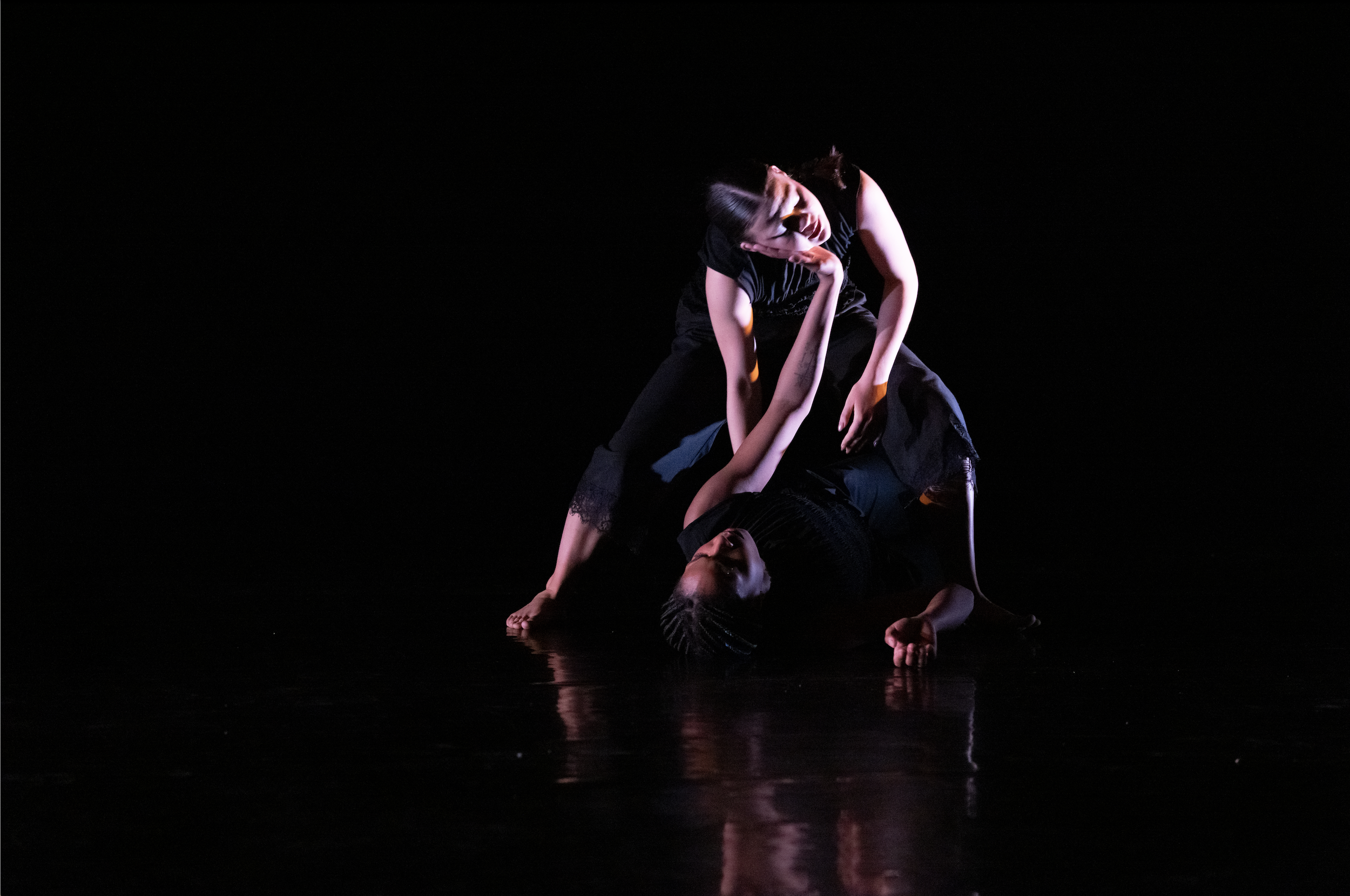 Screenshot 2026-02-17 at 10.11.19 AM.png