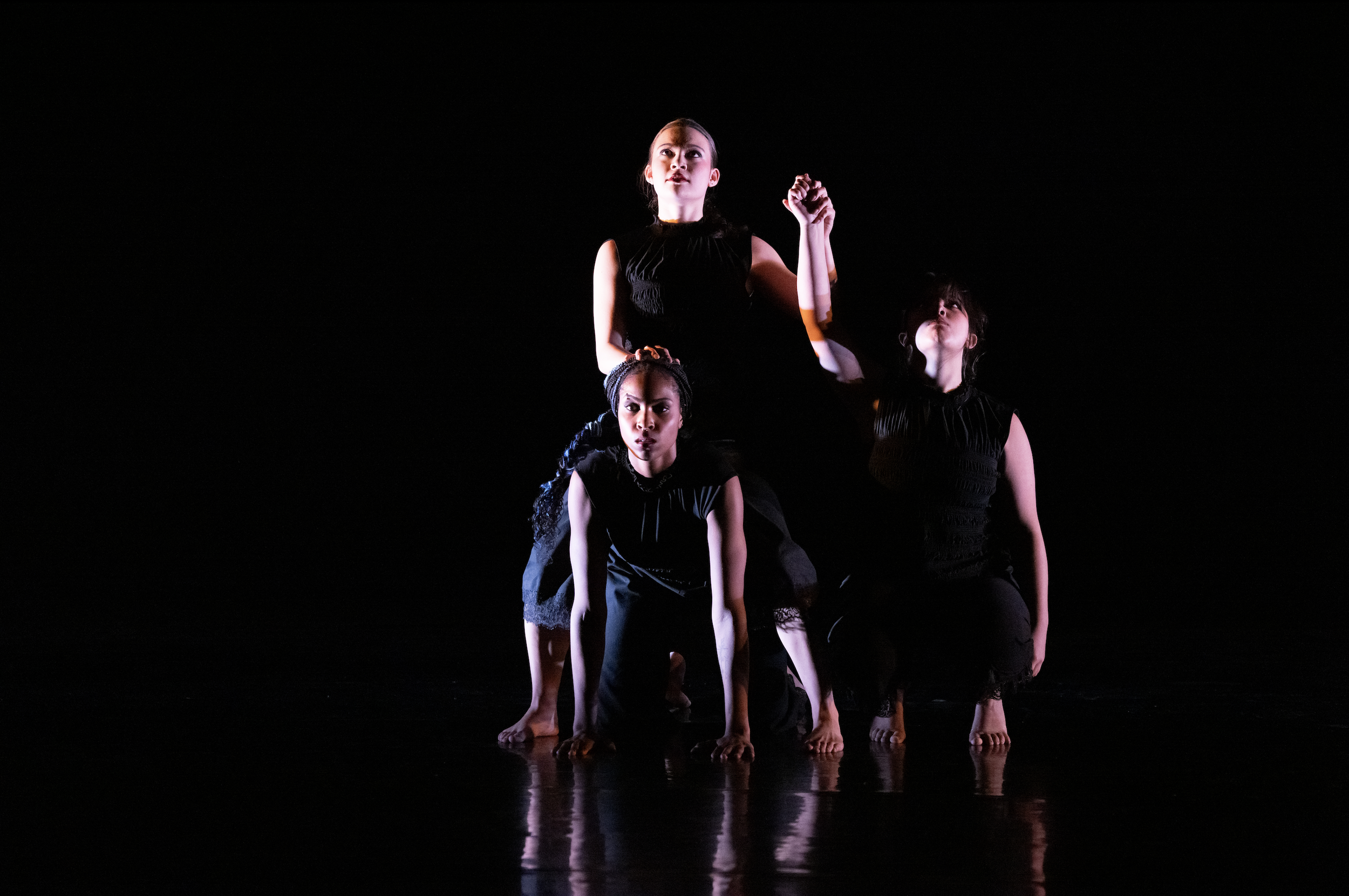 Screenshot 2026-02-17 at 10.12.08 AM.png