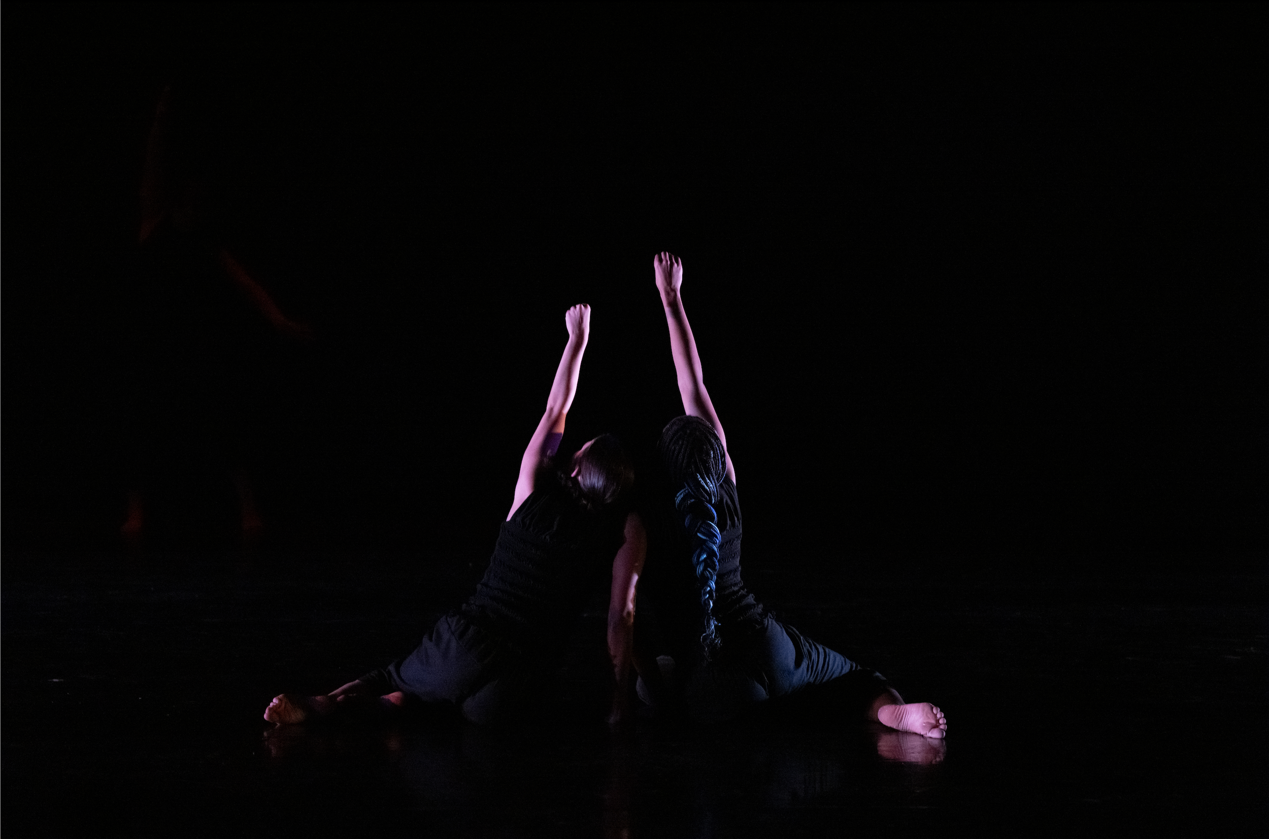 Screenshot 2026-02-17 at 10.13.57 AM.png