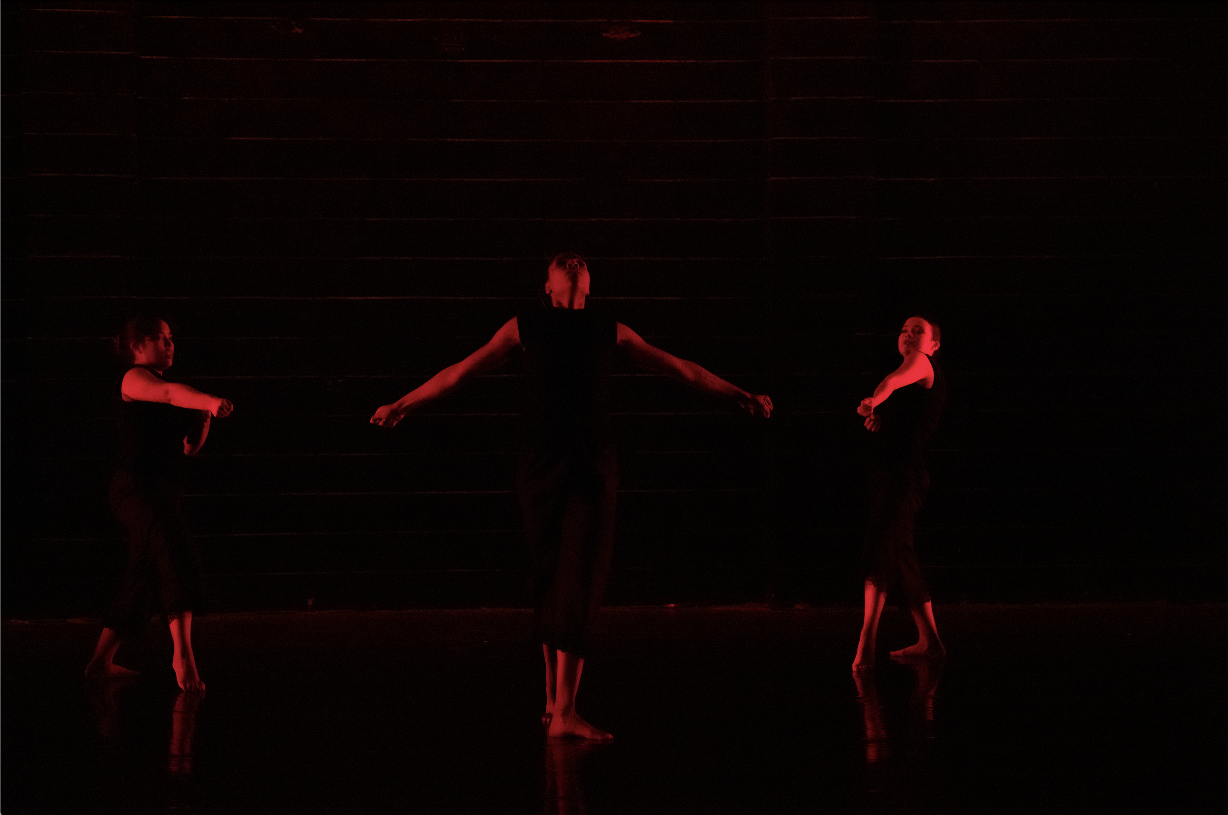 Screenshot 2026-02-17 at 10.14.14 AM.png