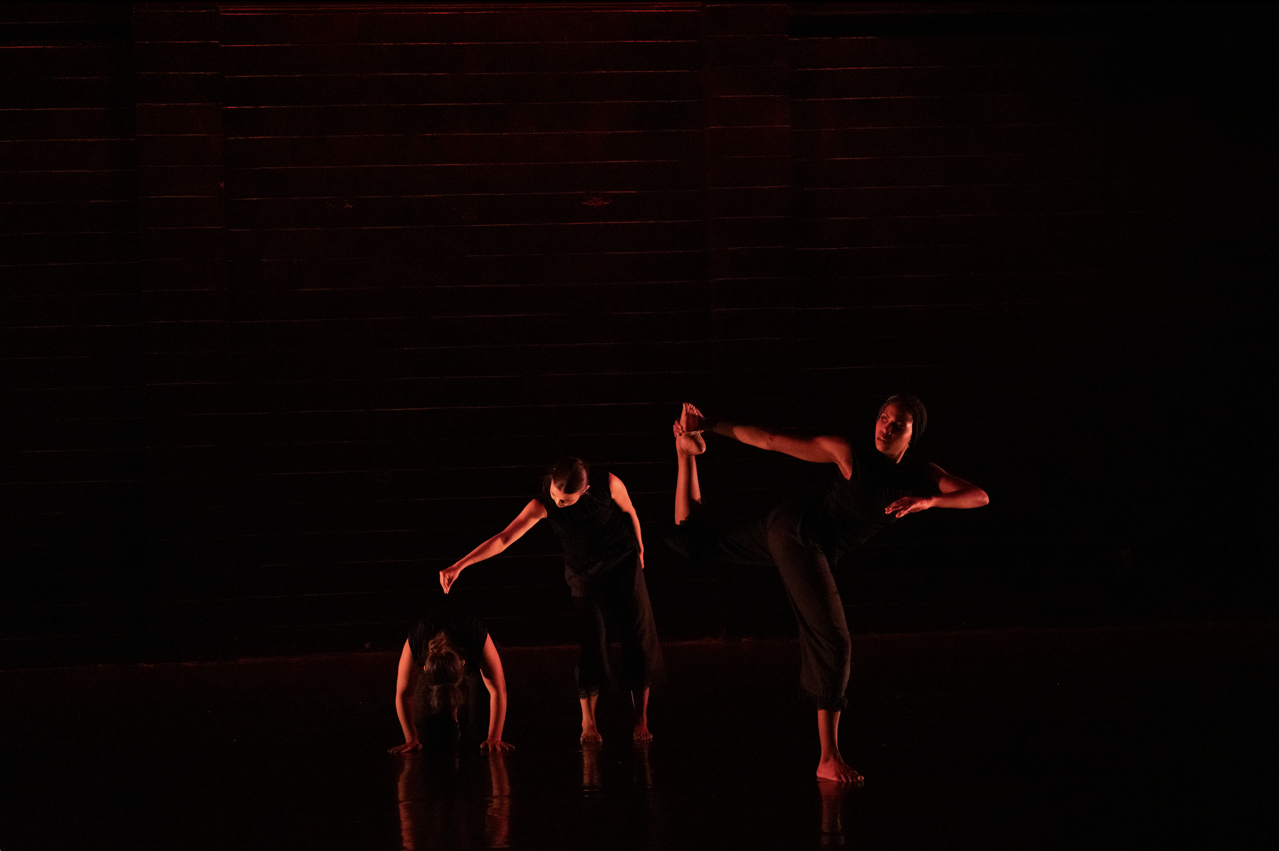 Screenshot 2026-02-17 at 10.14.29 AM.png