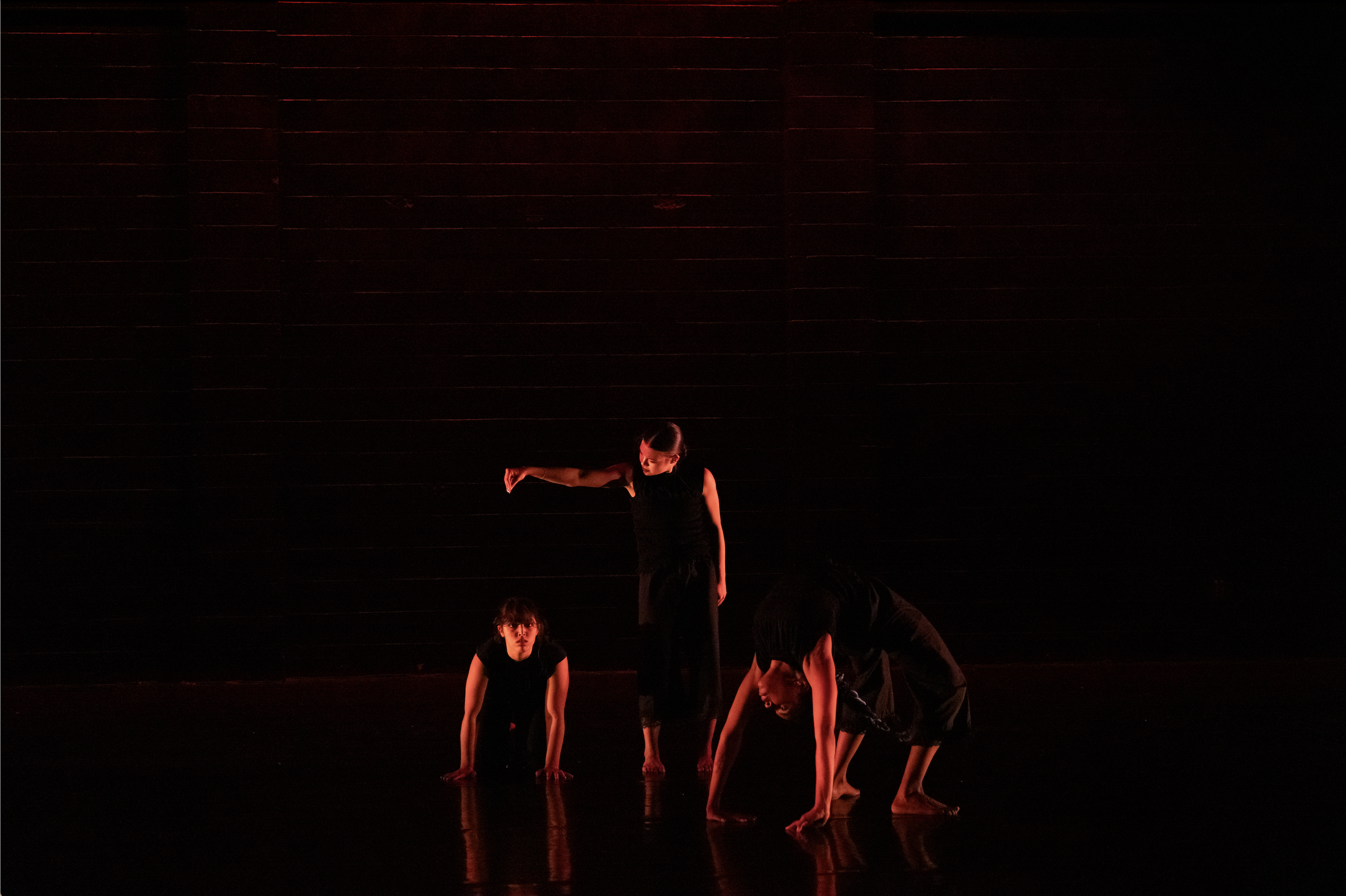 Screenshot 2026-02-17 at 10.14.47 AM.png