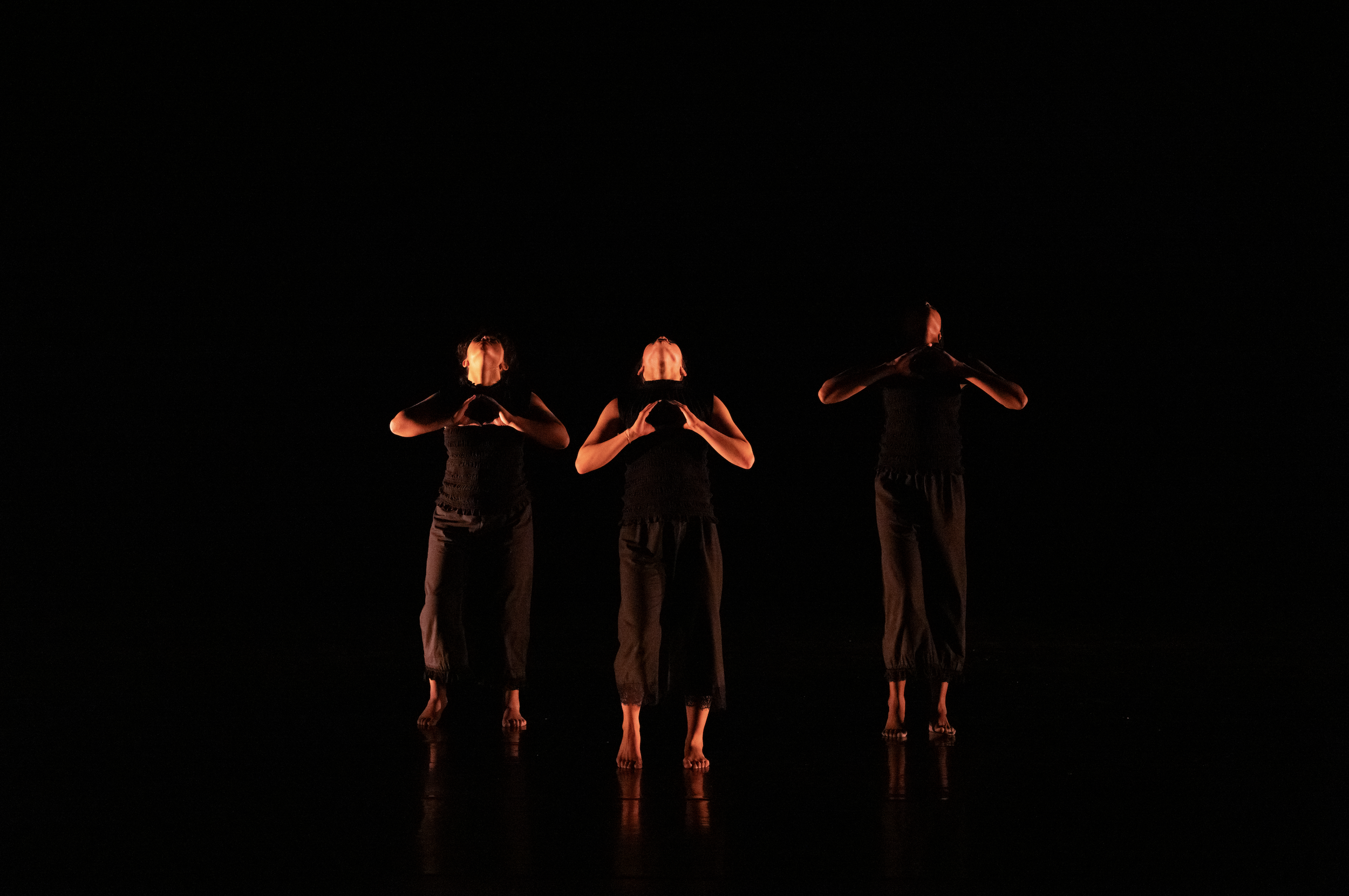 Screenshot 2026-02-17 at 10.16.05 AM.png