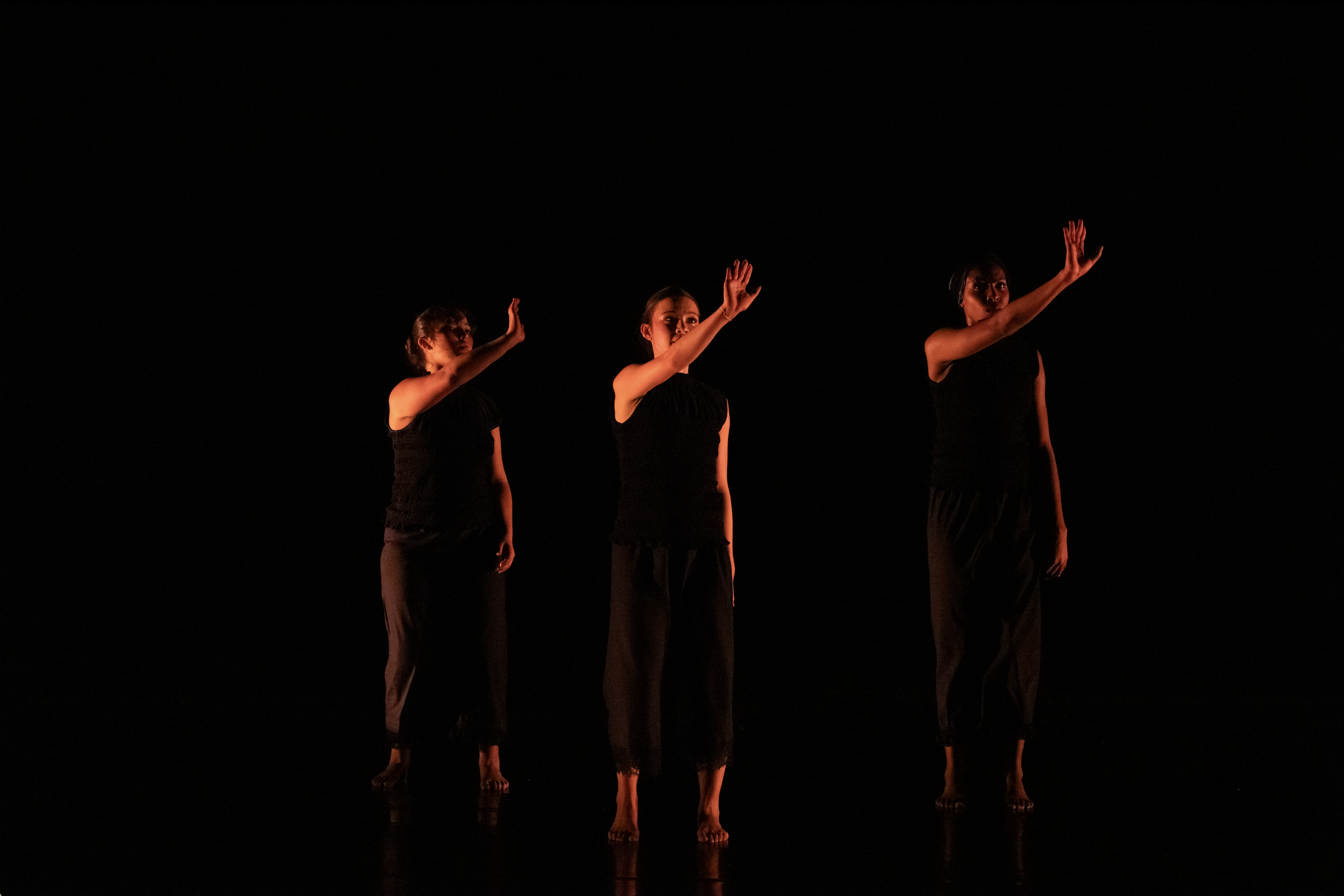 Screenshot 2026-02-17 at 10.16.20 AM.png