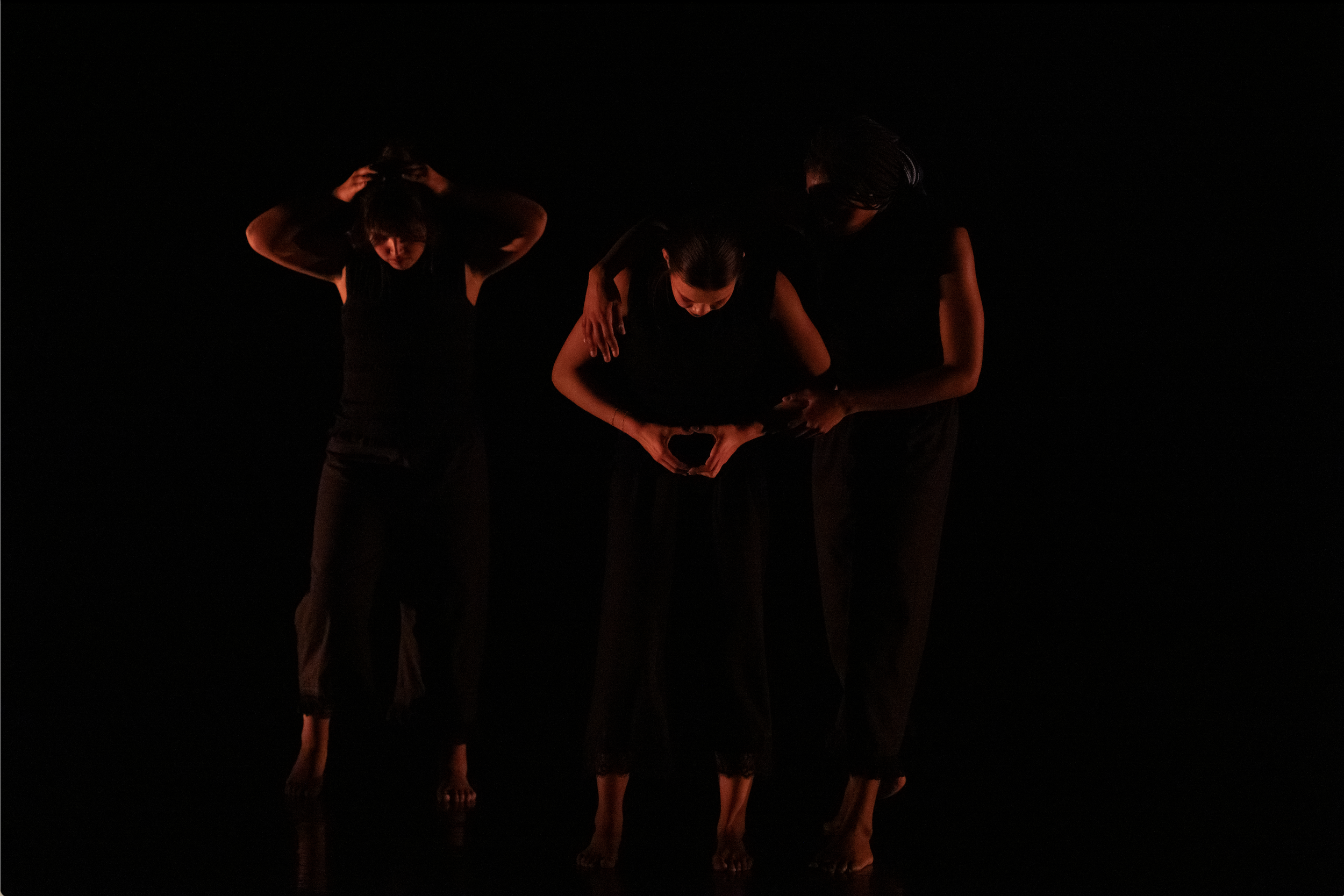 Screenshot 2026-02-17 at 10.16.37 AM.png