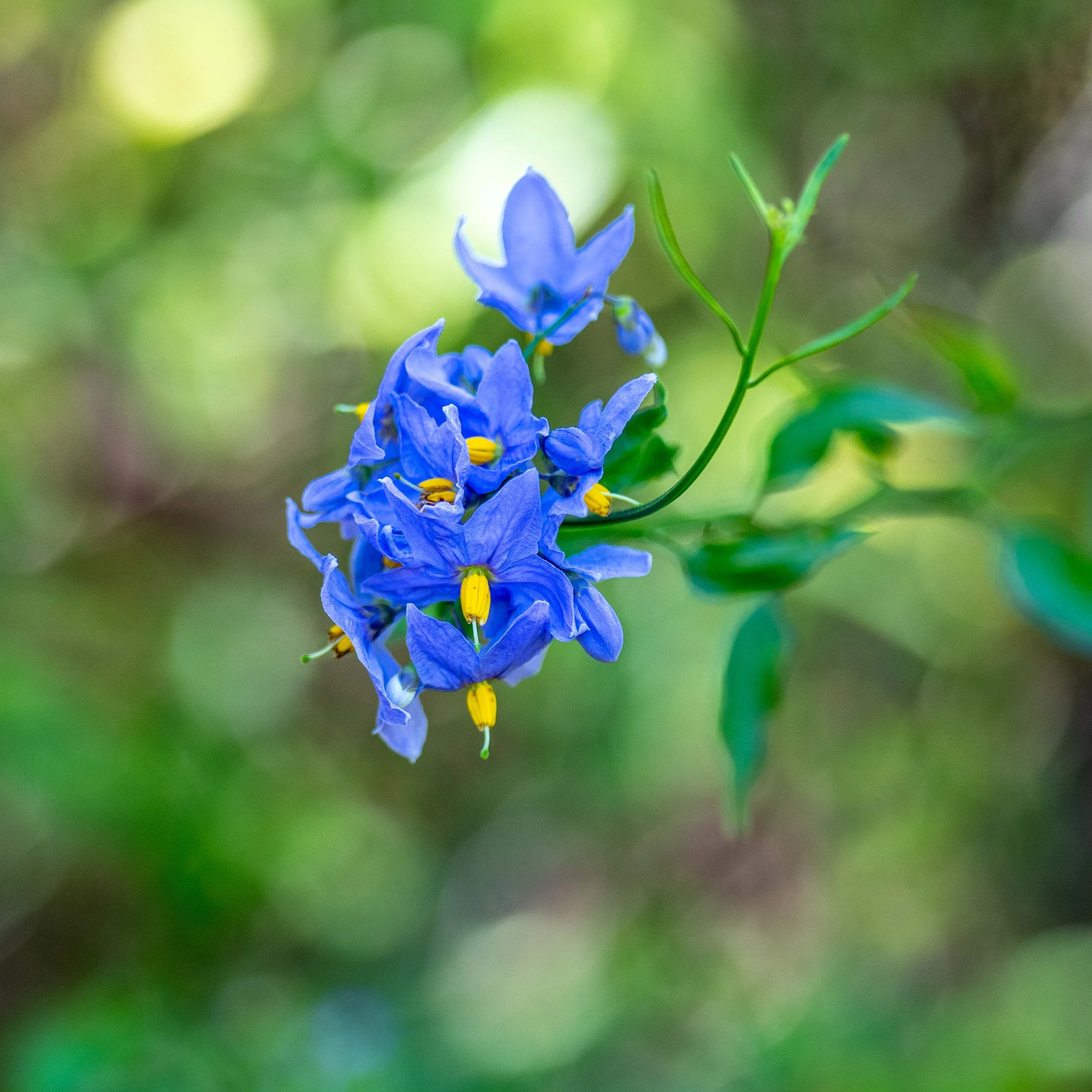 _A759685-1.jpg
