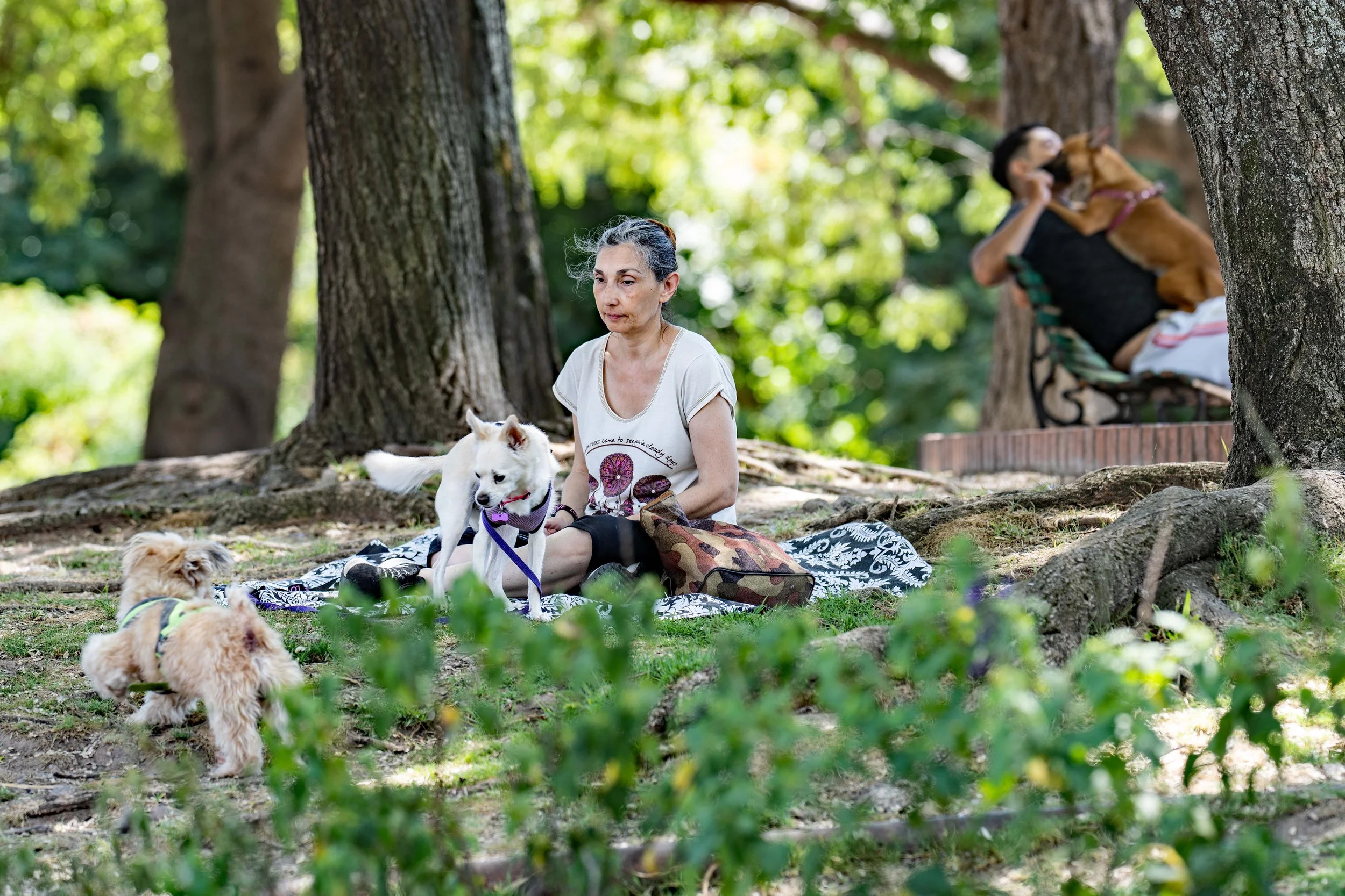 Kvinde med hund i Armenia parken.jpg