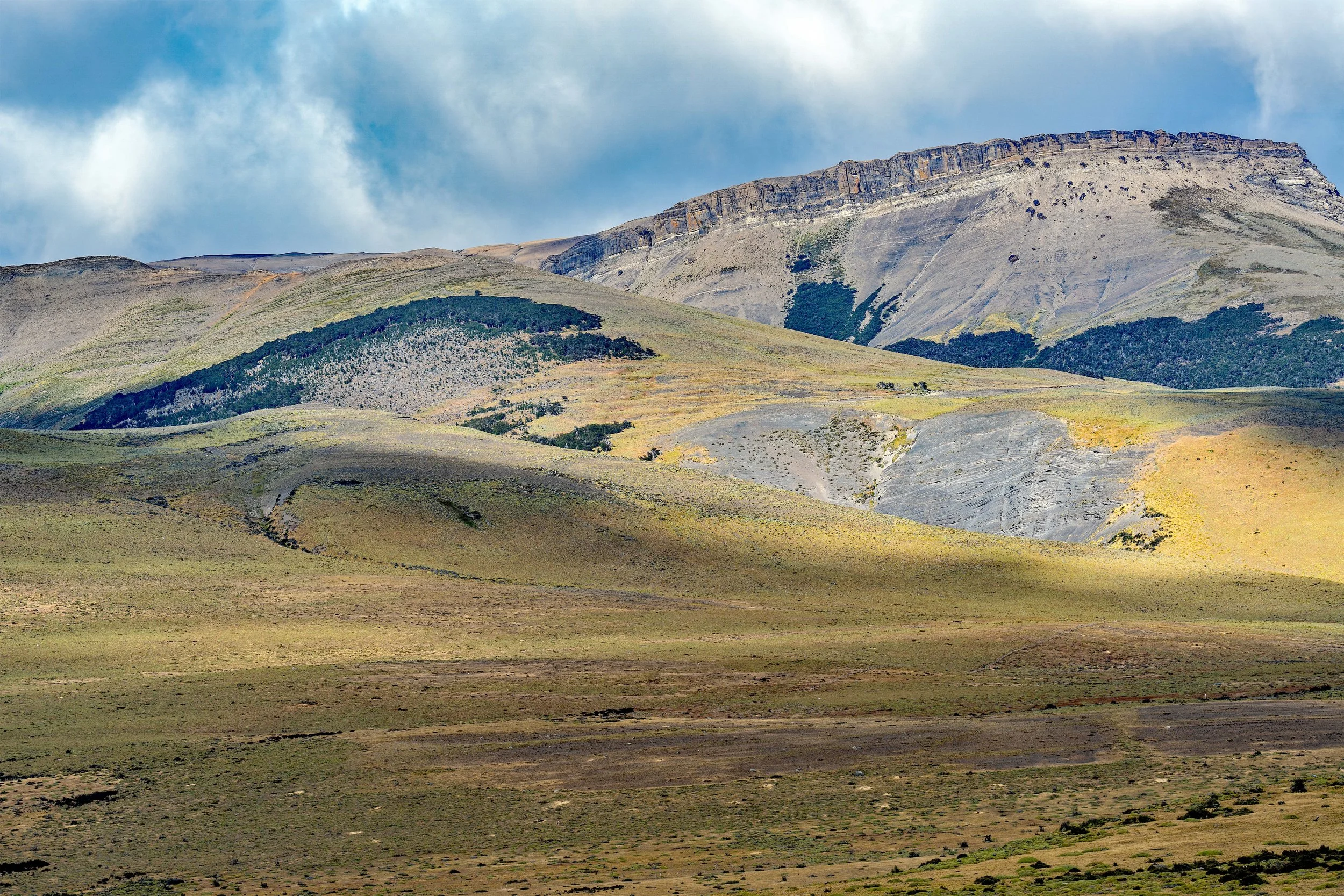 _A750451.jpg