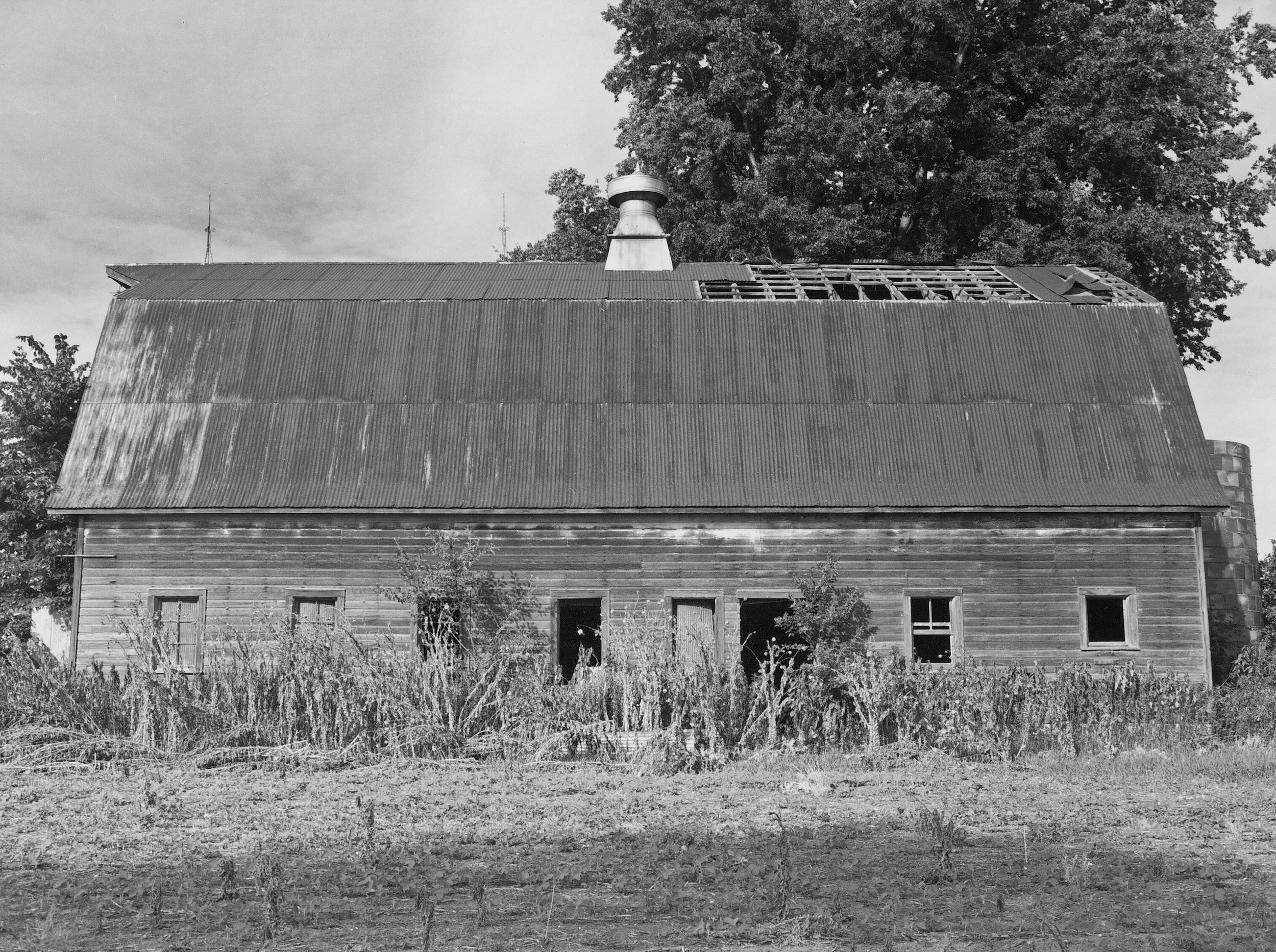 Missouri, 1999