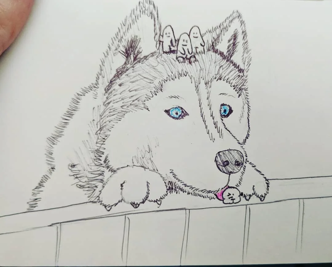 Day 6: Husky