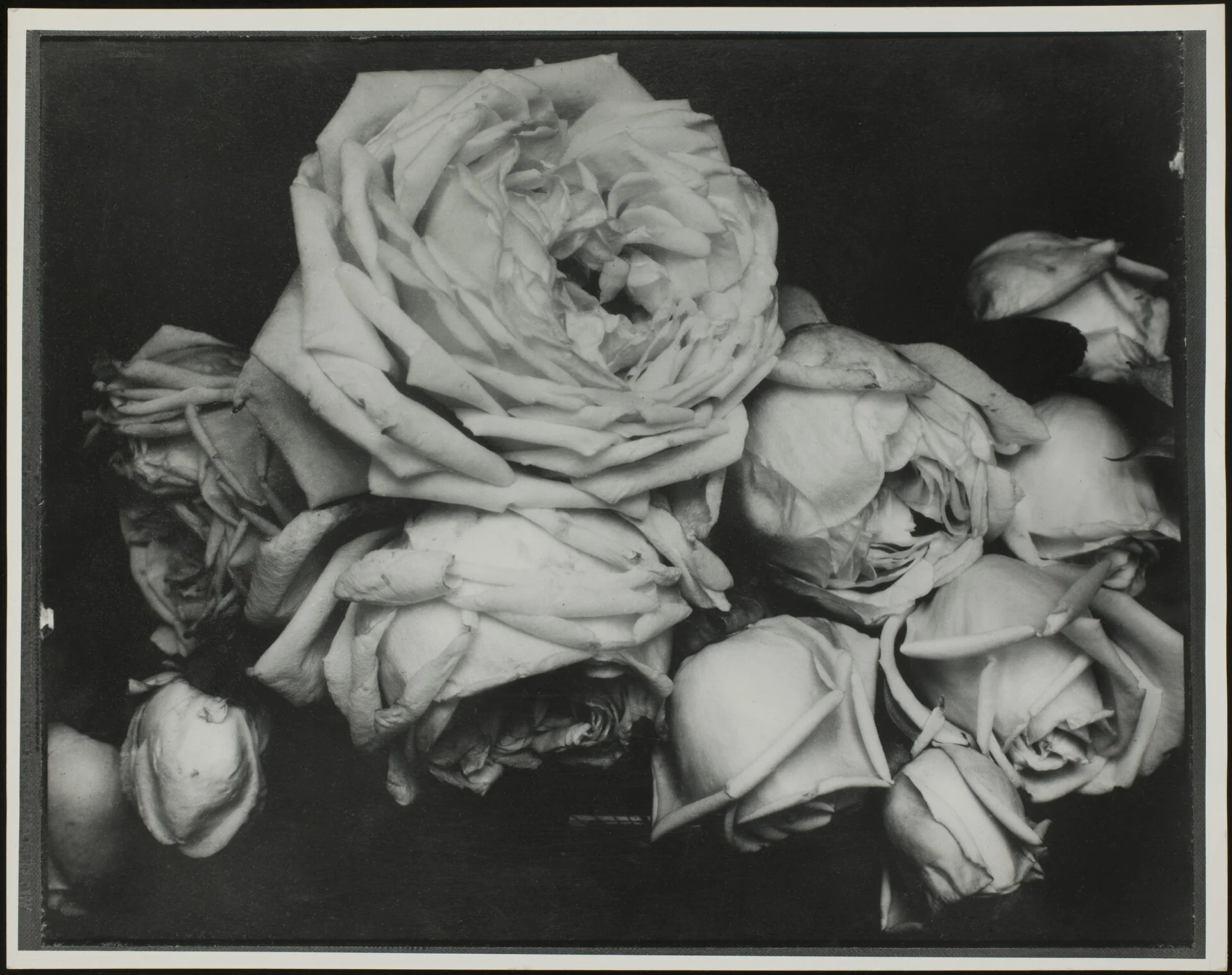 The Estate Of Edward Steichen