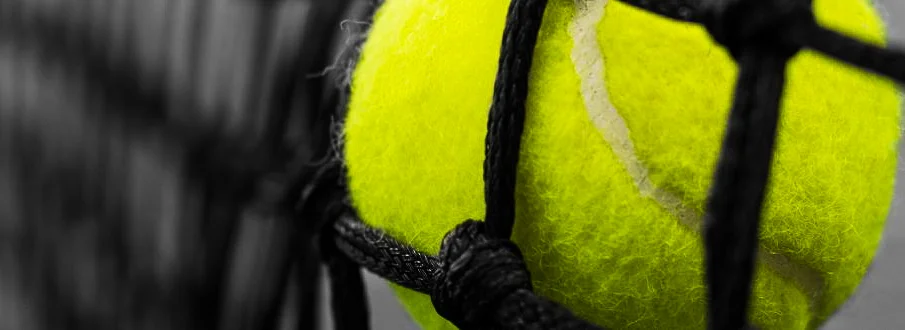 IMG_8628-bewerkt-1920x330.jpg