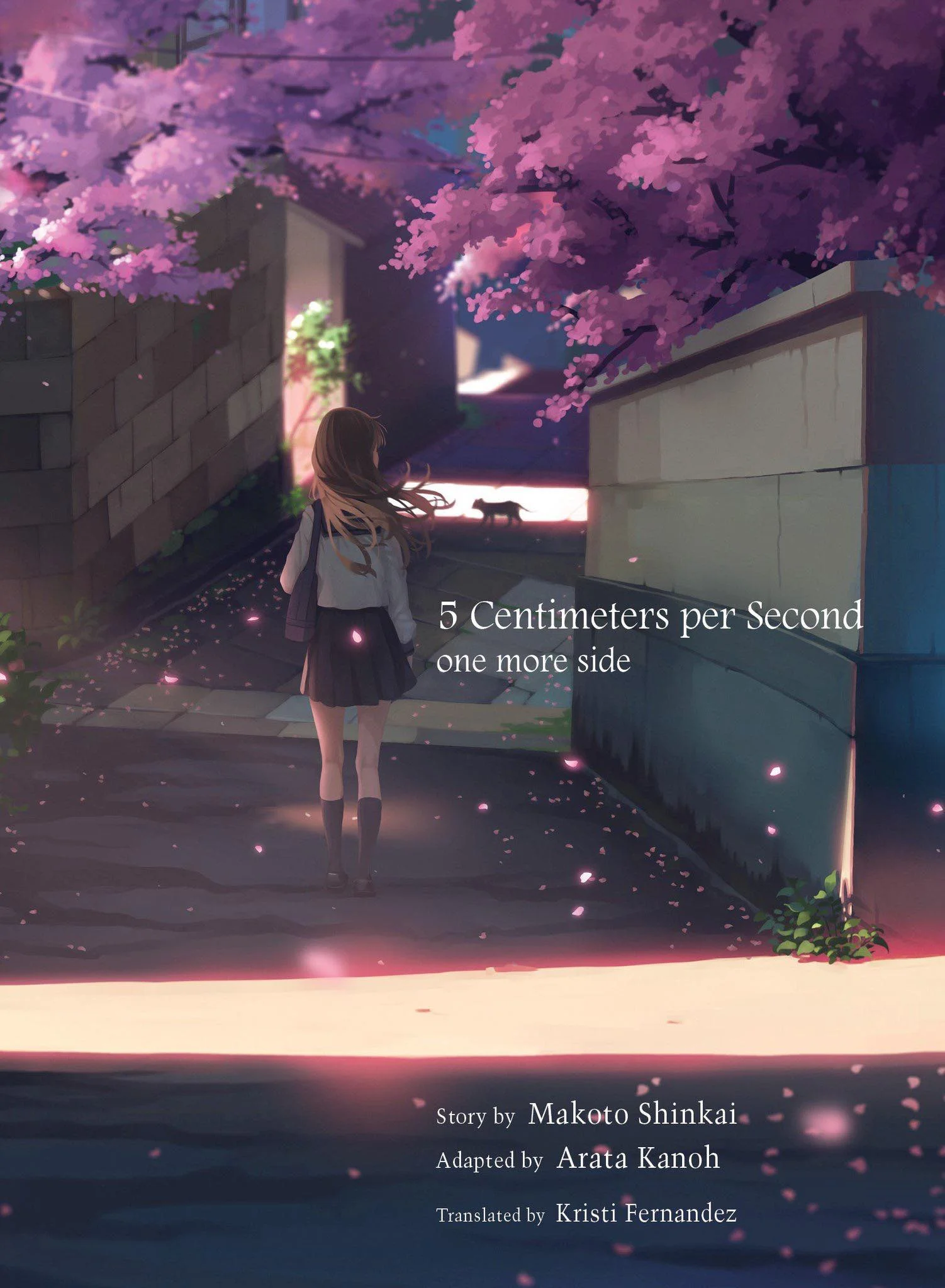 5CMS - one more side.jpg