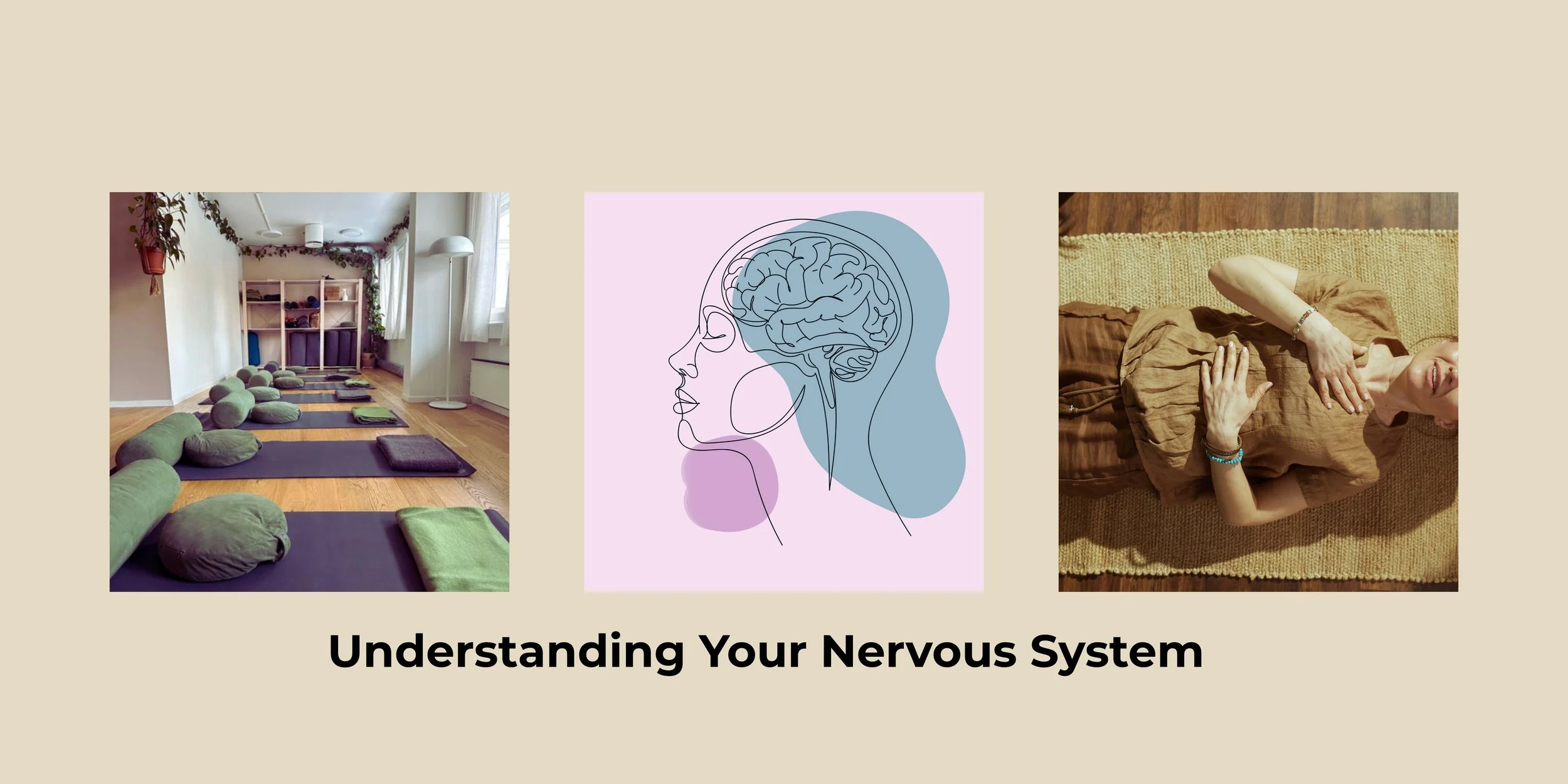 Somatic Workshop: Understanding Your Nervous System - Julia