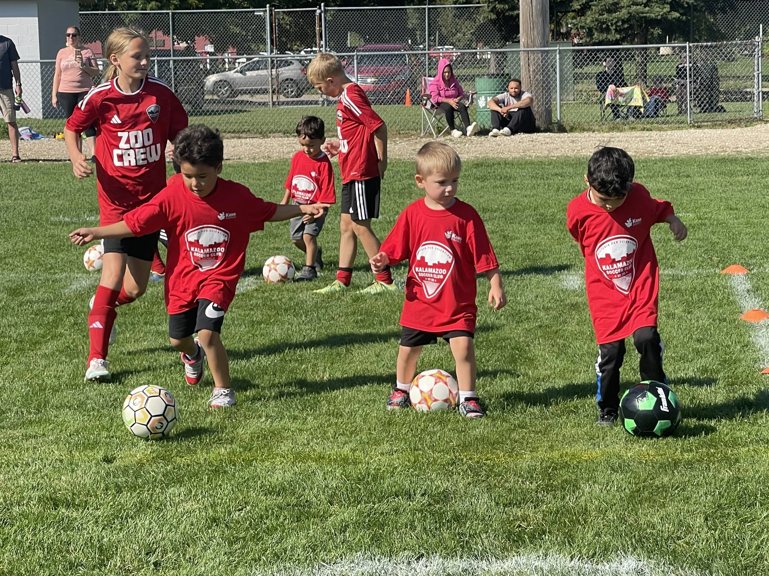 Academy, Little Tots, & MiniKickers Kalamazoo Soccer Club — Kalamazoo Soccer Club