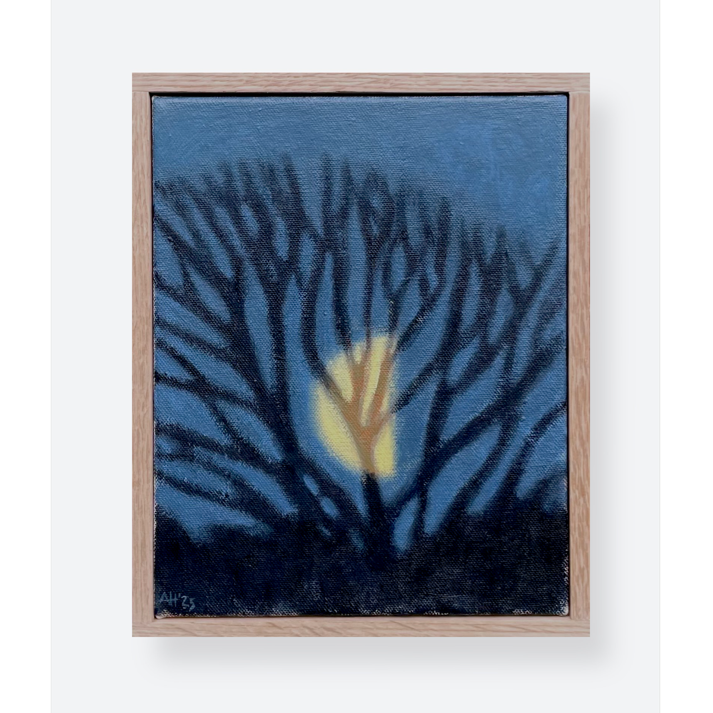 IMG_7596 - Version 2 copy 2.png