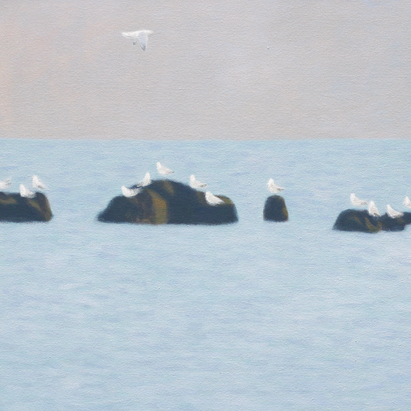 Seagulls at lowtide copy.png