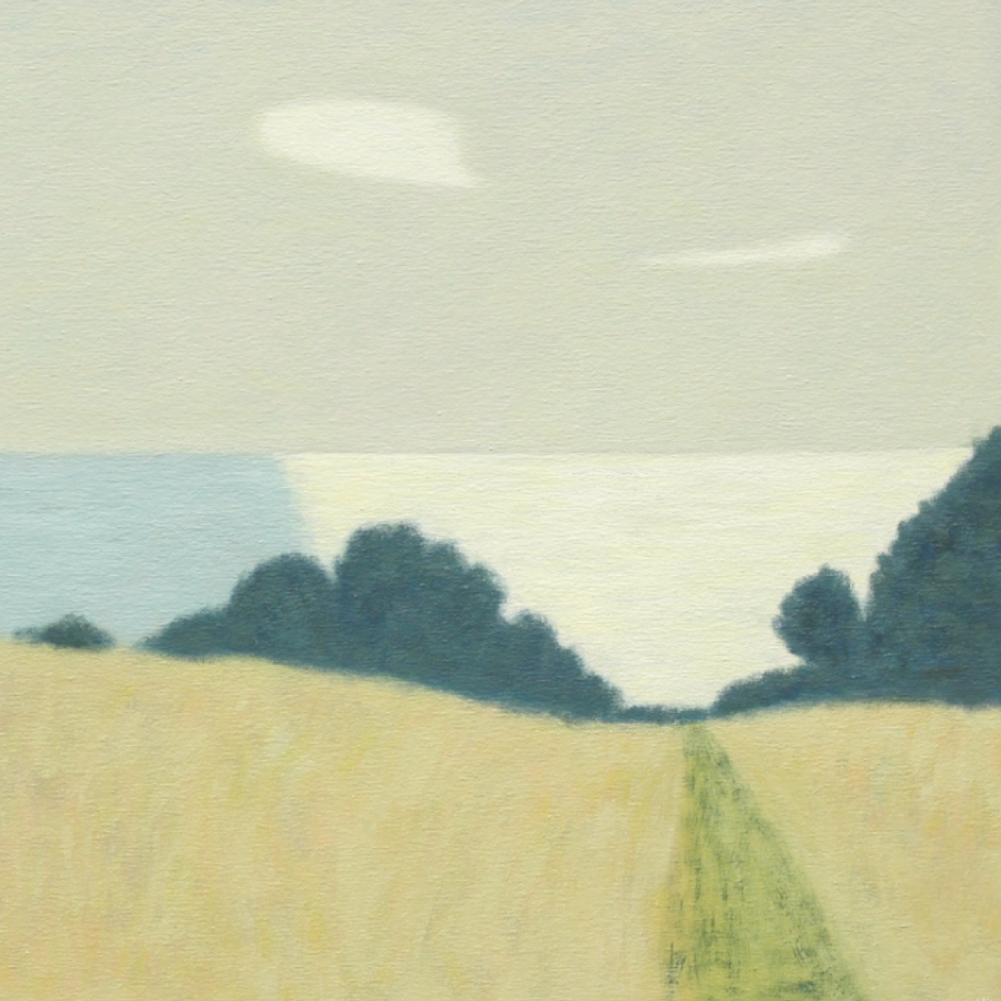 sussex field  copy.png